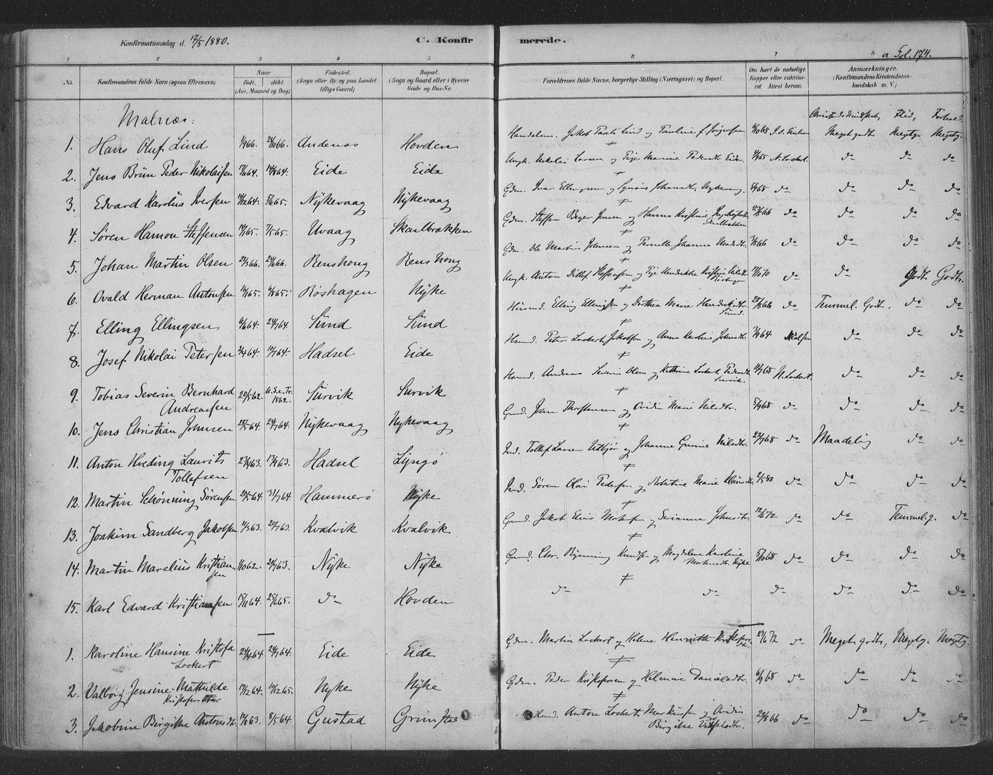 Ministerialprotokoller, klokkerbøker og fødselsregistre - Nordland, AV/SAT-A-1459/891/L1302: Parish register (official) no. 891A07, 1878-1895, p. 174