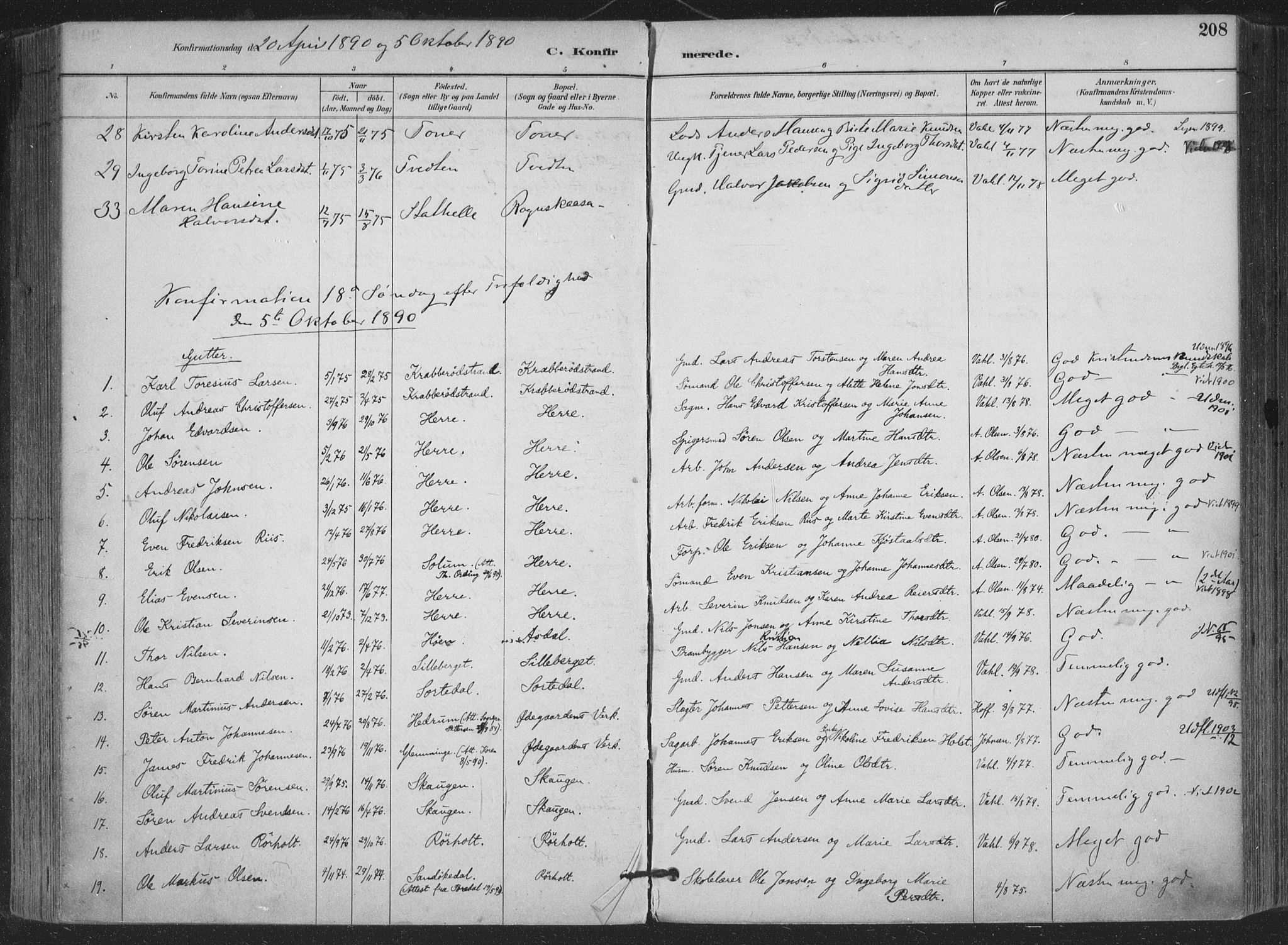 Bamble kirkebøker, AV/SAKO-A-253/F/Fa/L0008: Parish register (official) no. I 8, 1888-1900, p. 208