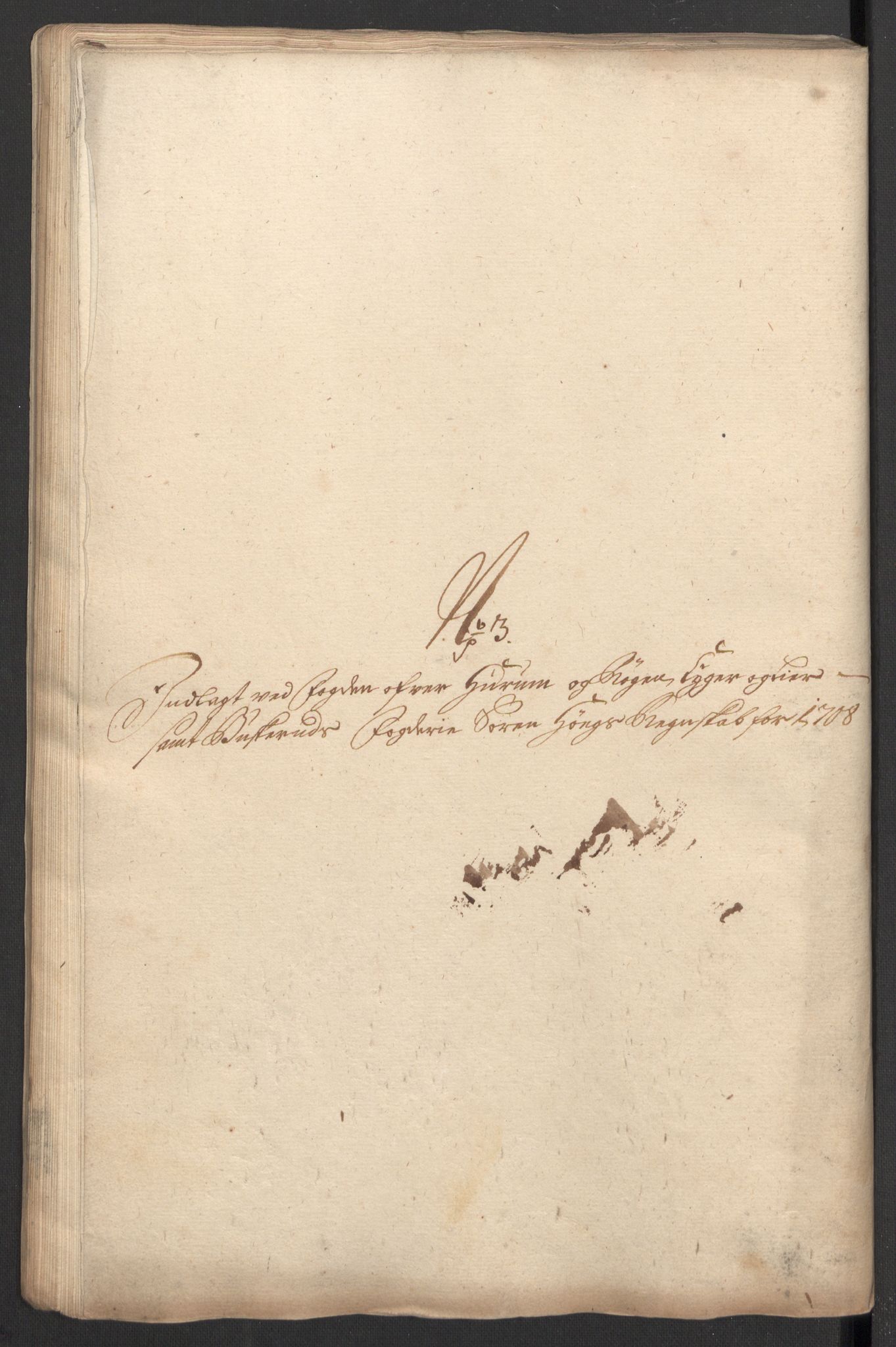 Rentekammeret inntil 1814, Reviderte regnskaper, Fogderegnskap, RA/EA-4092/R31/L1702: Fogderegnskap Hurum, Røyken, Eiker, Lier og Buskerud, 1708, p. 101