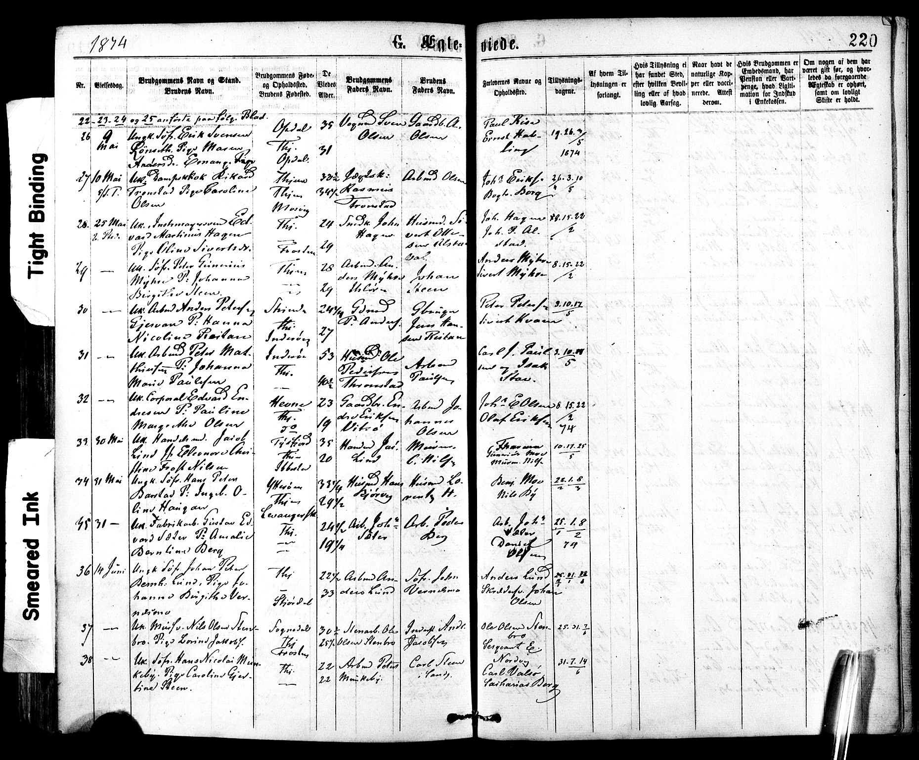 Ministerialprotokoller, klokkerbøker og fødselsregistre - Sør-Trøndelag, SAT/A-1456/602/L0118: Parish register (official) no. 602A16, 1873-1879, p. 220