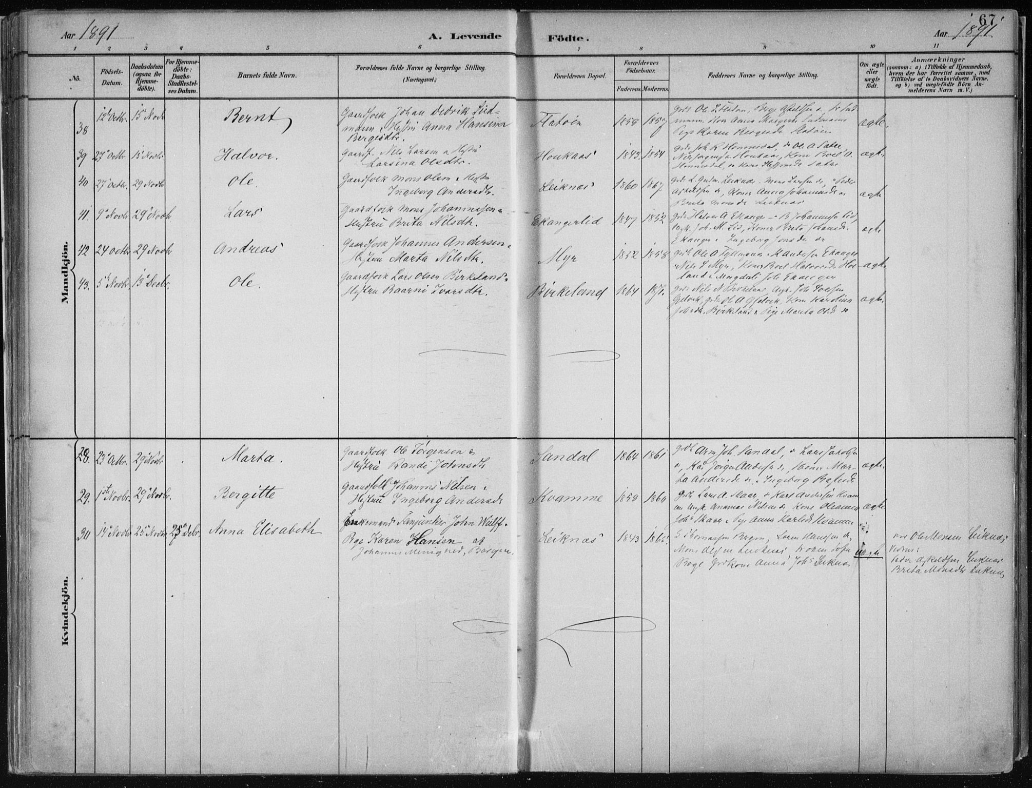 Hamre sokneprestembete, AV/SAB-A-75501/H/Ha/Haa/Haab/L0001: Parish register (official) no. B  1, 1882-1905, p. 67