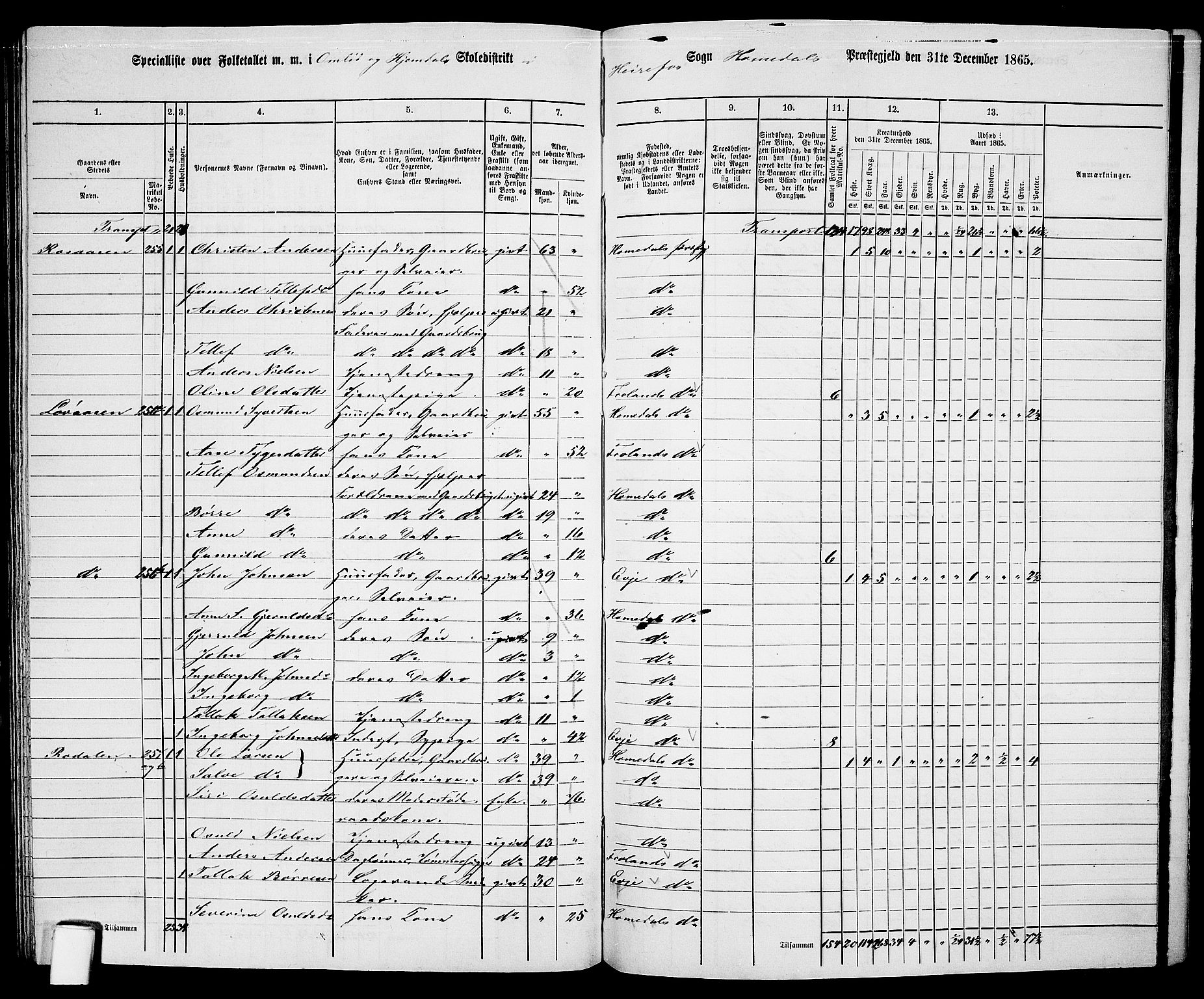 RA, 1865 census for Homedal, 1865, p. 158