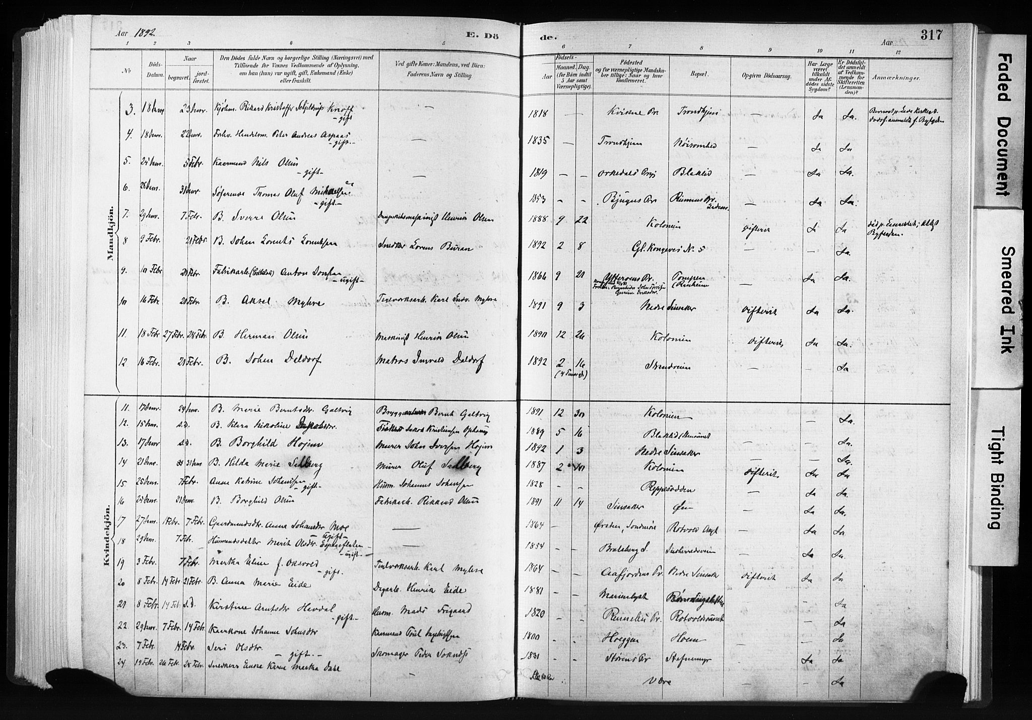 Ministerialprotokoller, klokkerbøker og fødselsregistre - Sør-Trøndelag, SAT/A-1456/606/L0300: Parish register (official) no. 606A15, 1886-1893, p. 317