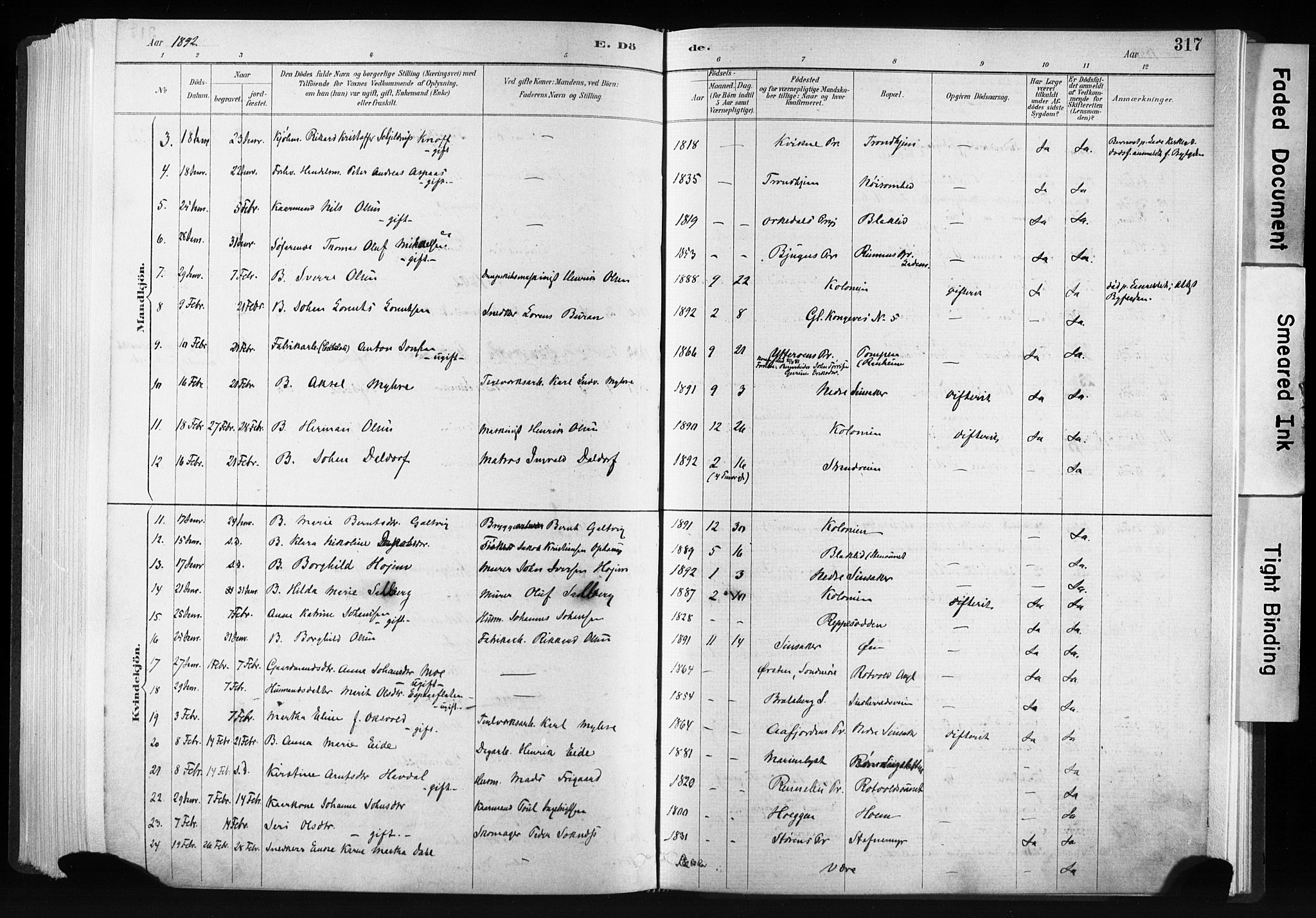 Ministerialprotokoller, klokkerbøker og fødselsregistre - Sør-Trøndelag, AV/SAT-A-1456/606/L0300: Parish register (official) no. 606A15, 1886-1893, p. 317