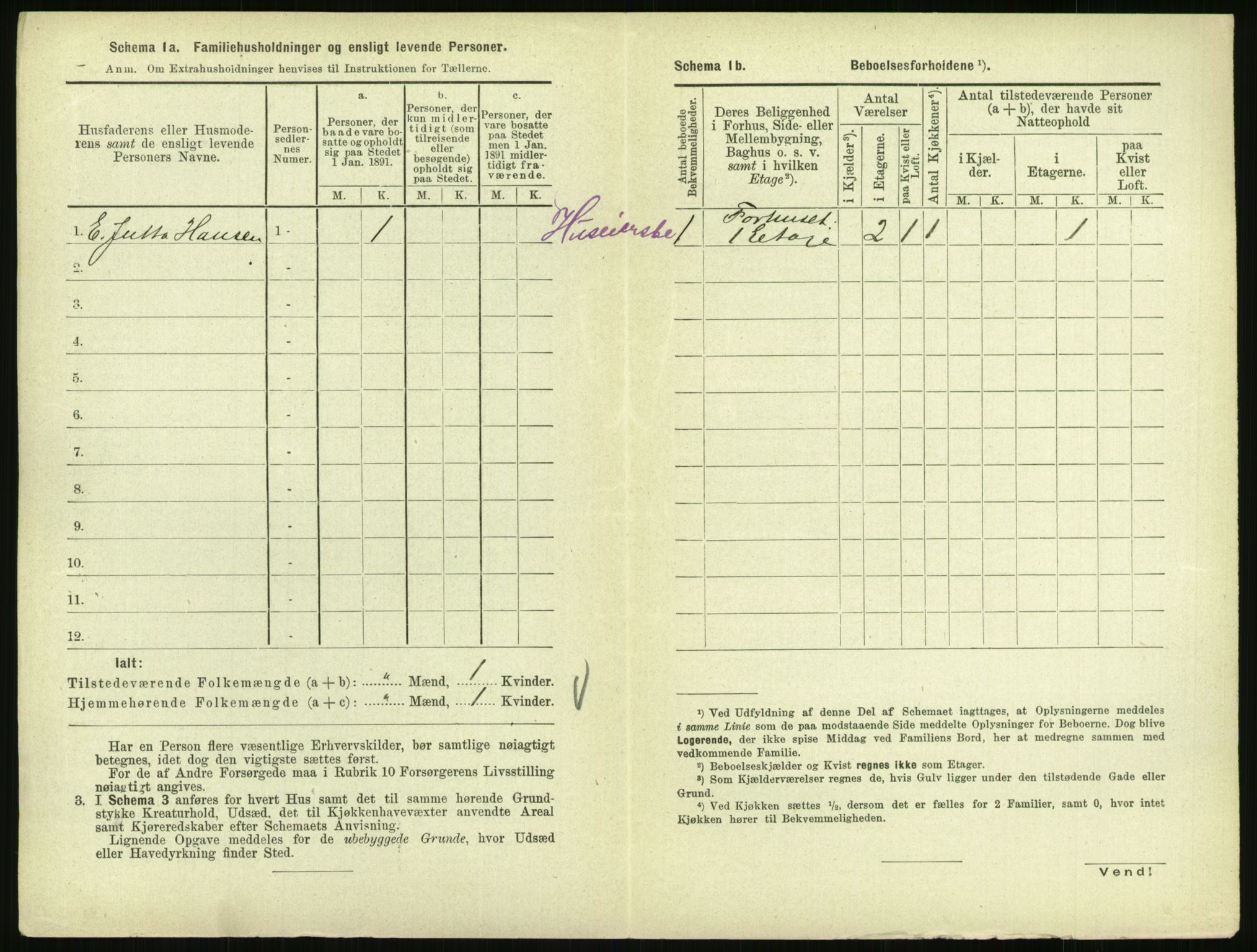 RA, 1891 census for 0707 Larvik, 1891, p. 1698