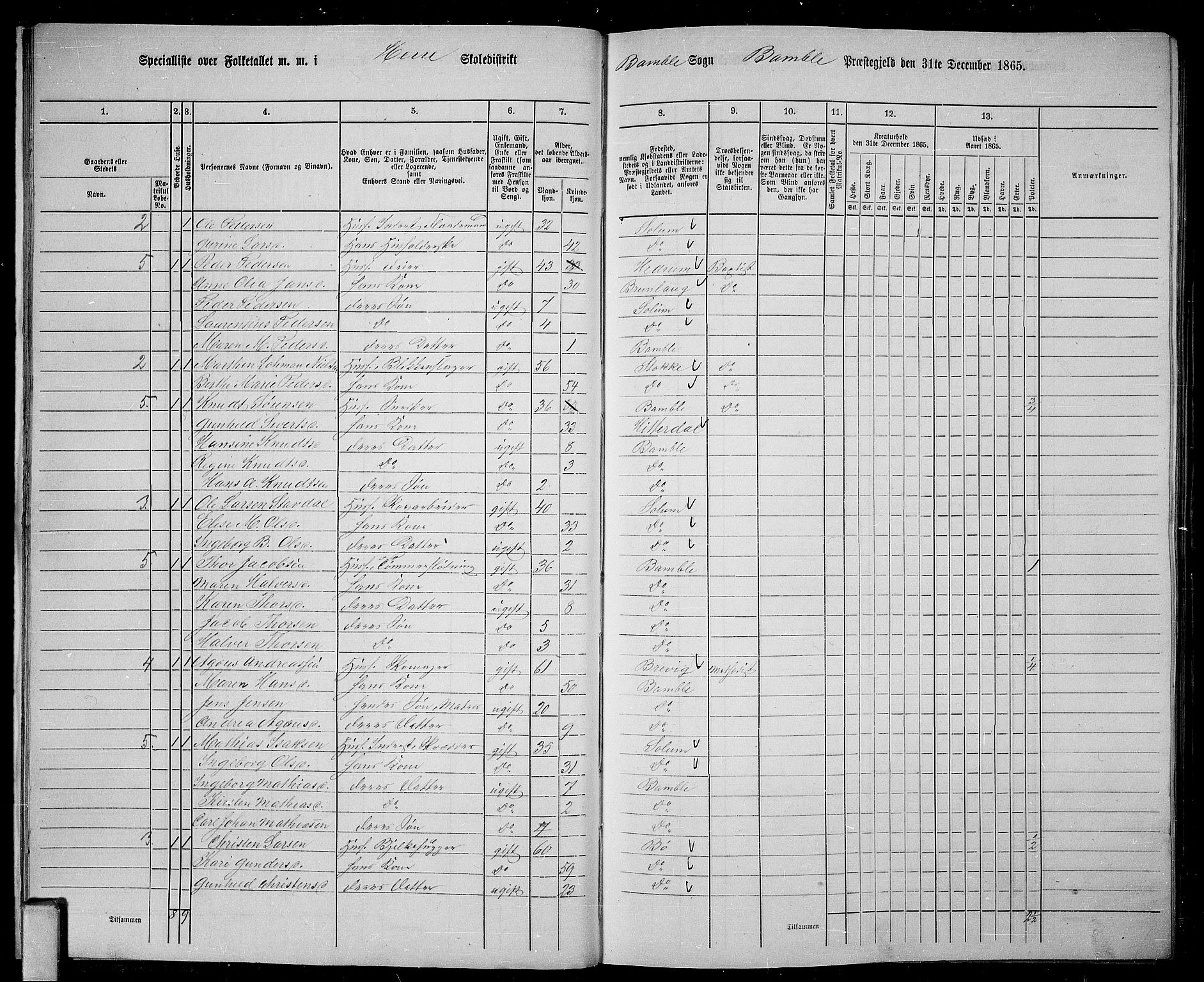 RA, 1865 census for Bamble, 1865, p. 19