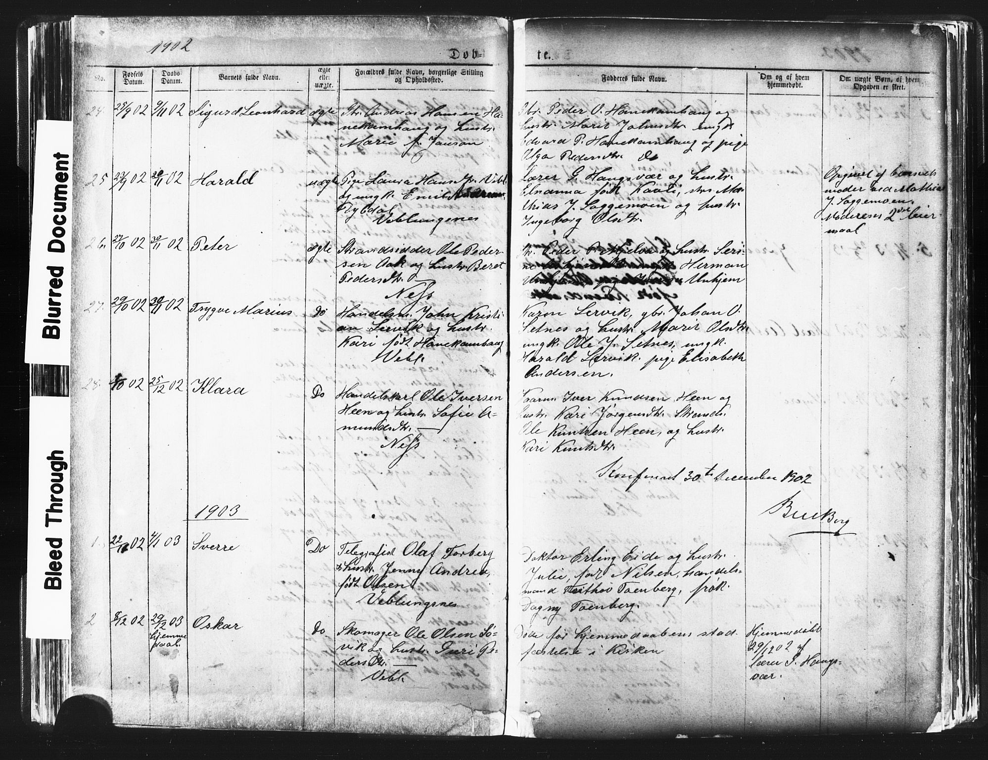 Ministerialprotokoller, klokkerbøker og fødselsregistre - Møre og Romsdal, AV/SAT-A-1454/544/L0580: Parish register (copy) no. 544C02, 1867-1909, p. 126