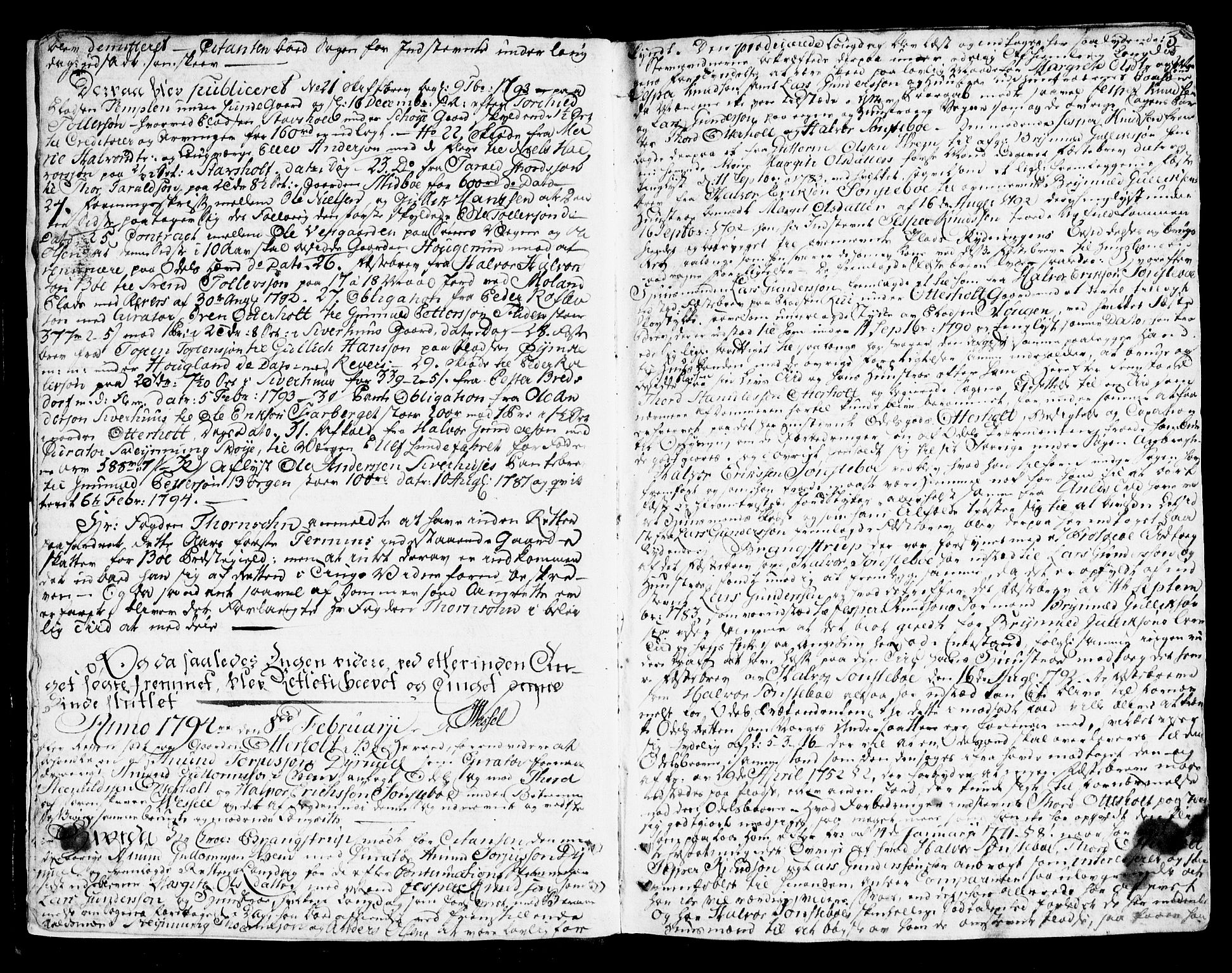 Nedre Telemark sorenskriveri, AV/SAKO-A-135/F/Fa/L0031: Tingbok, 1794-1797, p. 5