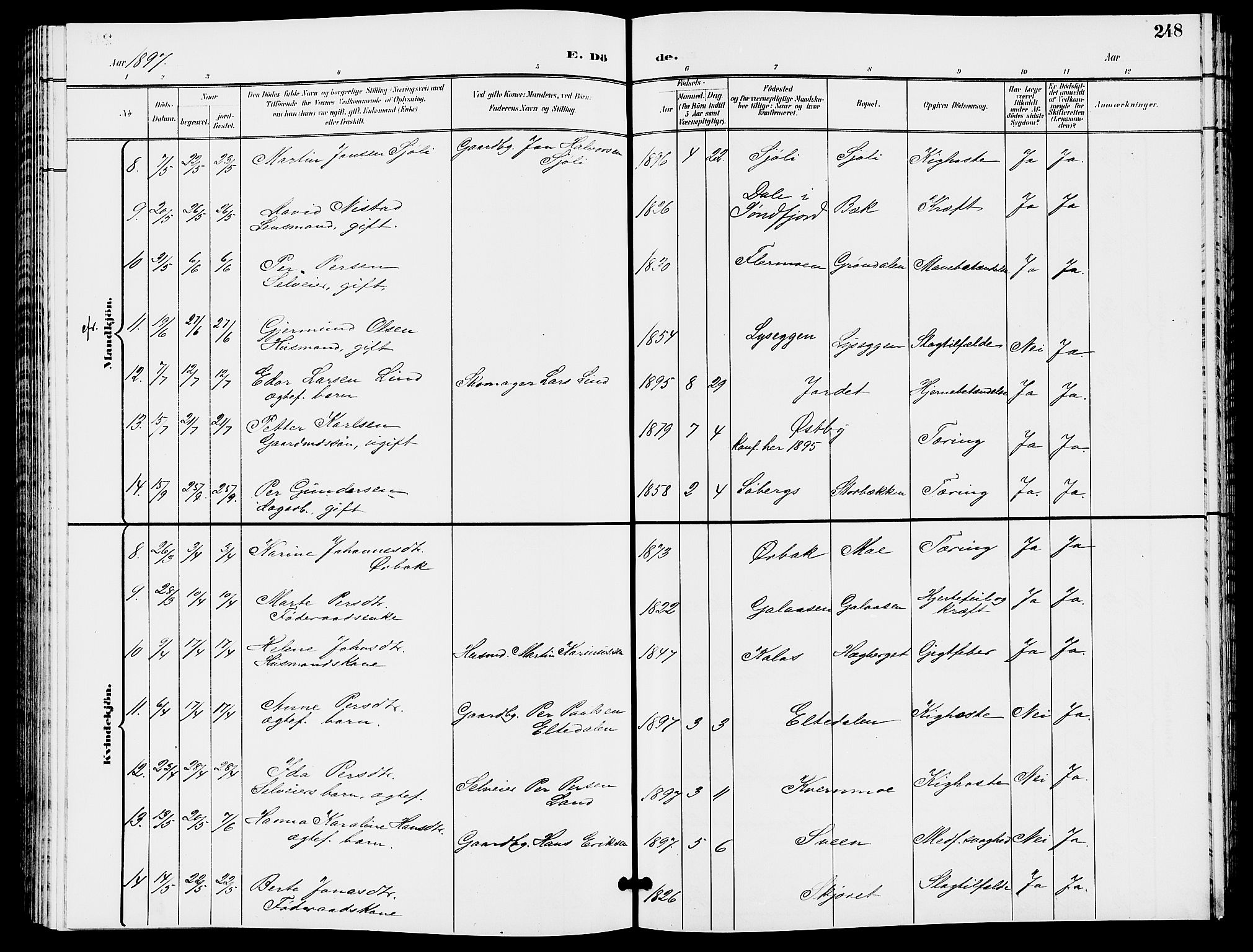 Trysil prestekontor, AV/SAH-PREST-046/H/Ha/Hab/L0006: Parish register (copy) no. 6, 1896-1912, p. 248