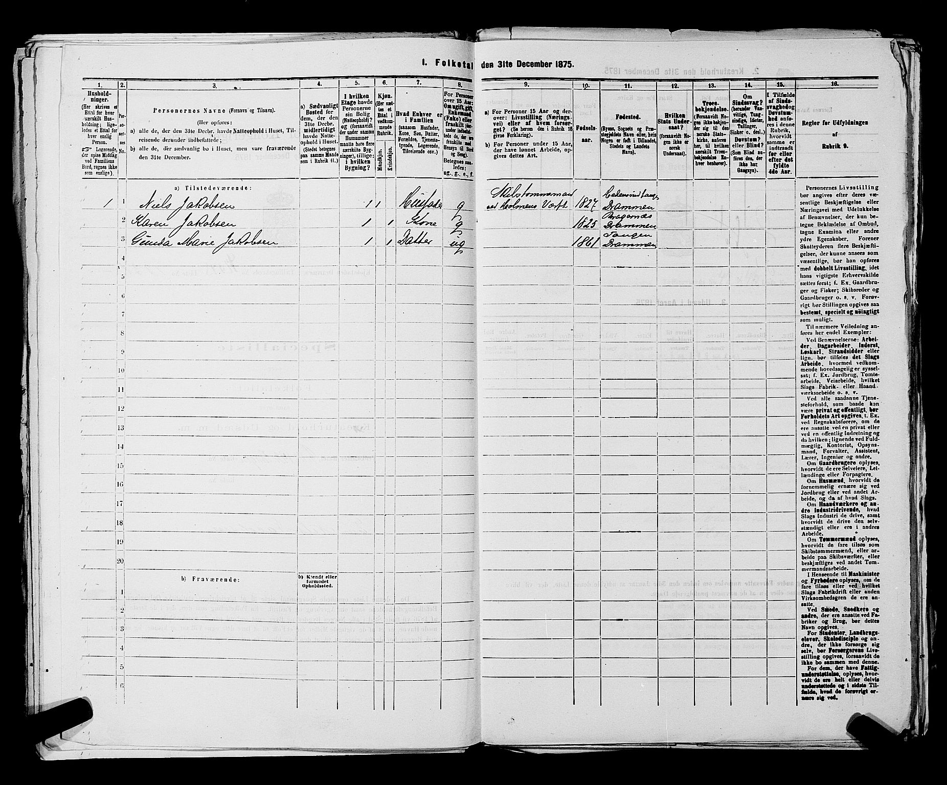 SAKO, 1875 census for 0602 Drammen, 1875, p. 3609