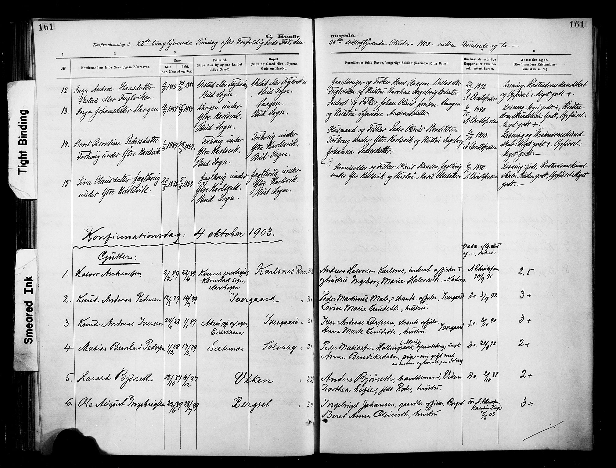 Ministerialprotokoller, klokkerbøker og fødselsregistre - Møre og Romsdal, AV/SAT-A-1454/566/L0769: Parish register (official) no. 566A08, 1881-1903, p. 161