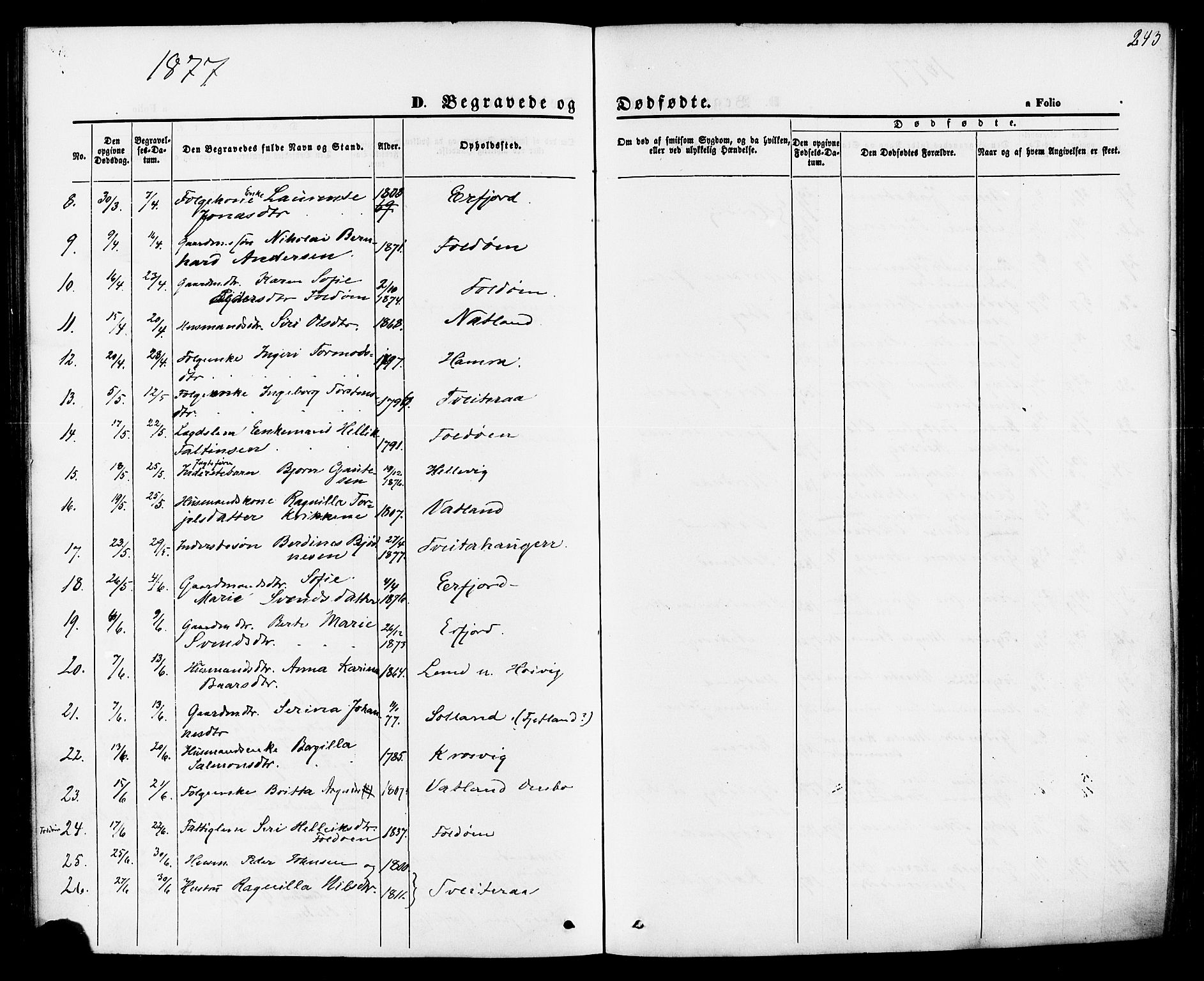 Jelsa sokneprestkontor, AV/SAST-A-101842/01/IV: Parish register (official) no. A 8, 1867-1883, p. 243