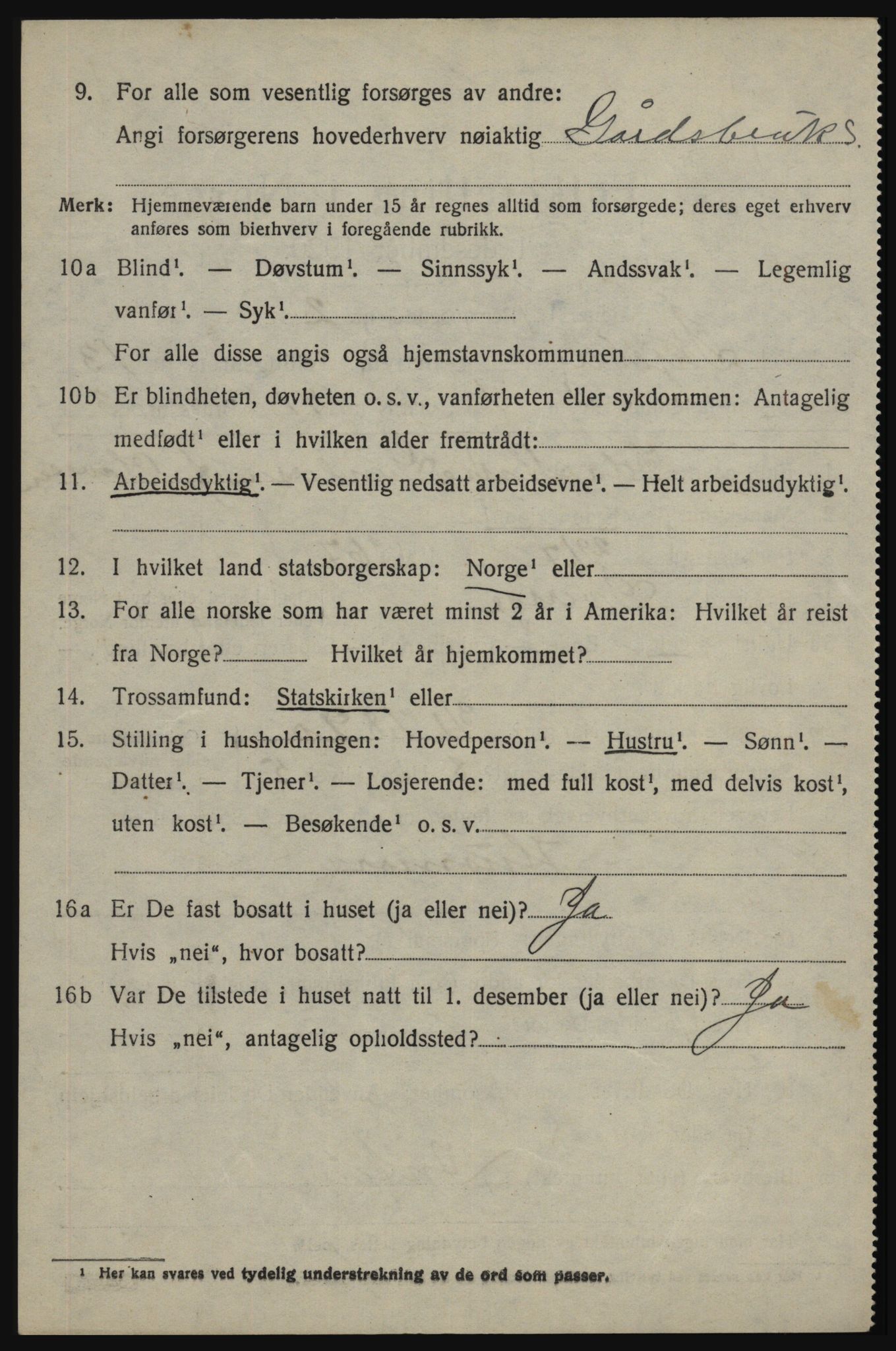 SAO, 1920 census for Skjeberg, 1920, p. 11638