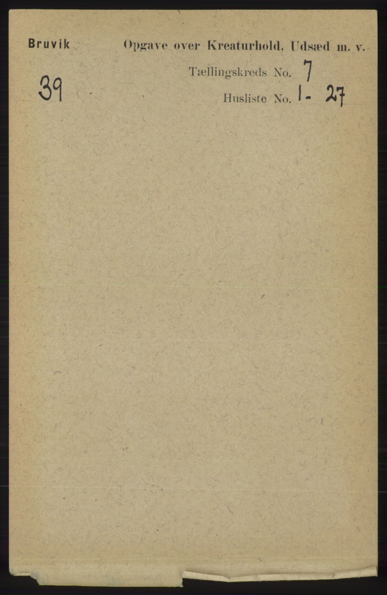 RA, 1891 census for 1251 Bruvik, 1891, p. 4628