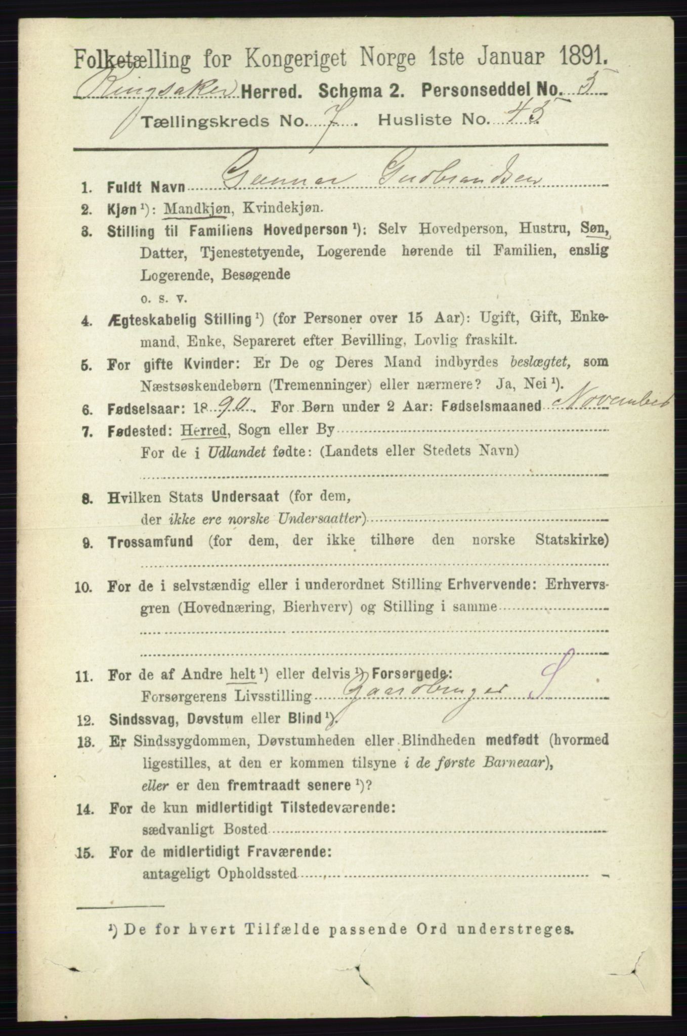 RA, 1891 census for 0412 Ringsaker, 1891, p. 4196