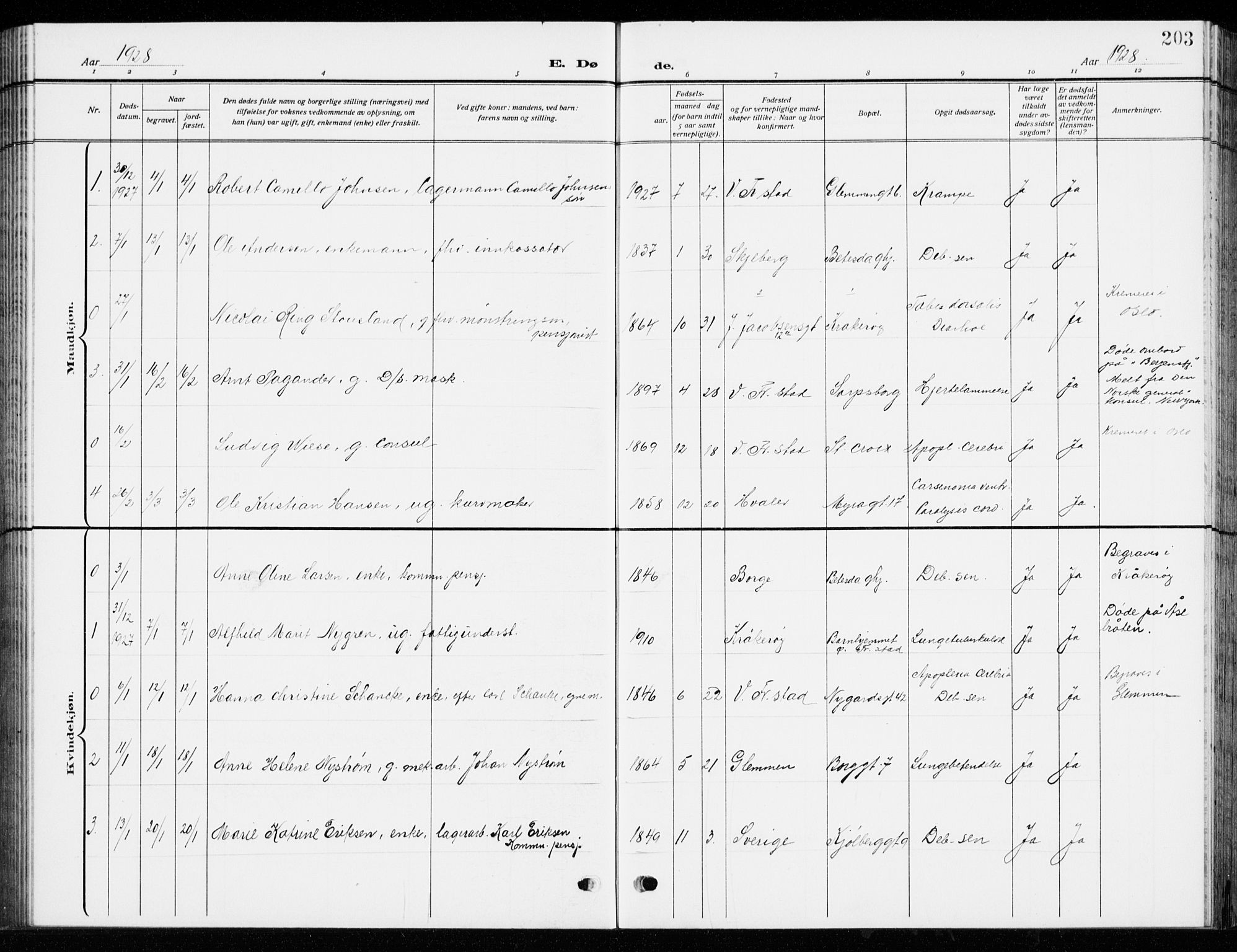 Fredrikstad domkirkes prestekontor Kirkebøker, SAO/A-10906/G/Ga/L0004: Parish register (copy) no. 4, 1910-1944, p. 203
