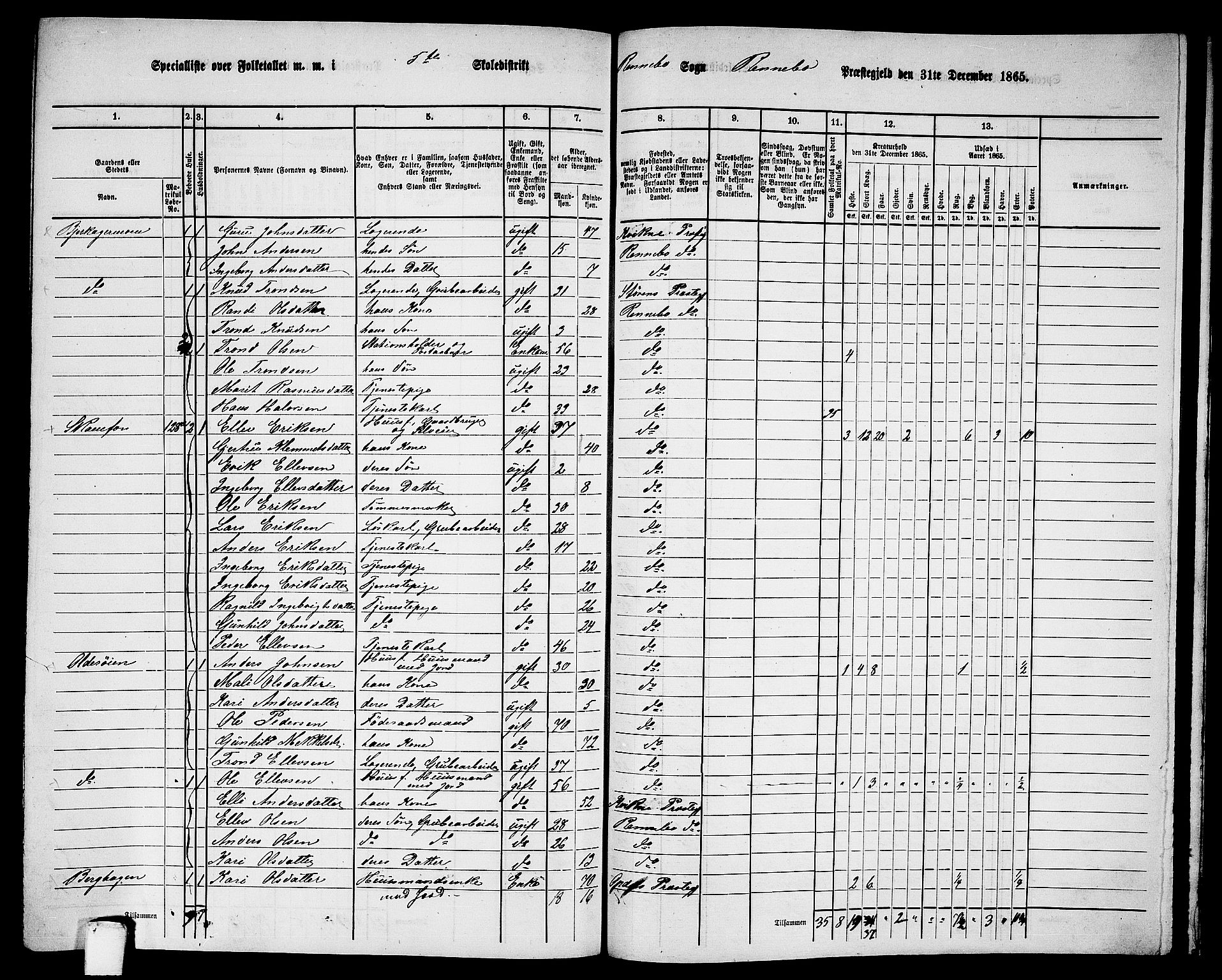 RA, 1865 census for Rennebu, 1865, p. 105