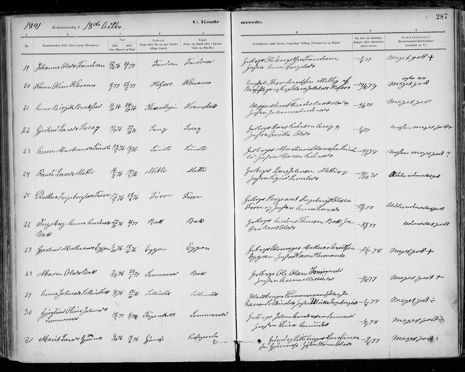 Ministerialprotokoller, klokkerbøker og fødselsregistre - Sør-Trøndelag, AV/SAT-A-1456/668/L0809: Parish register (official) no. 668A09, 1881-1895, p. 287