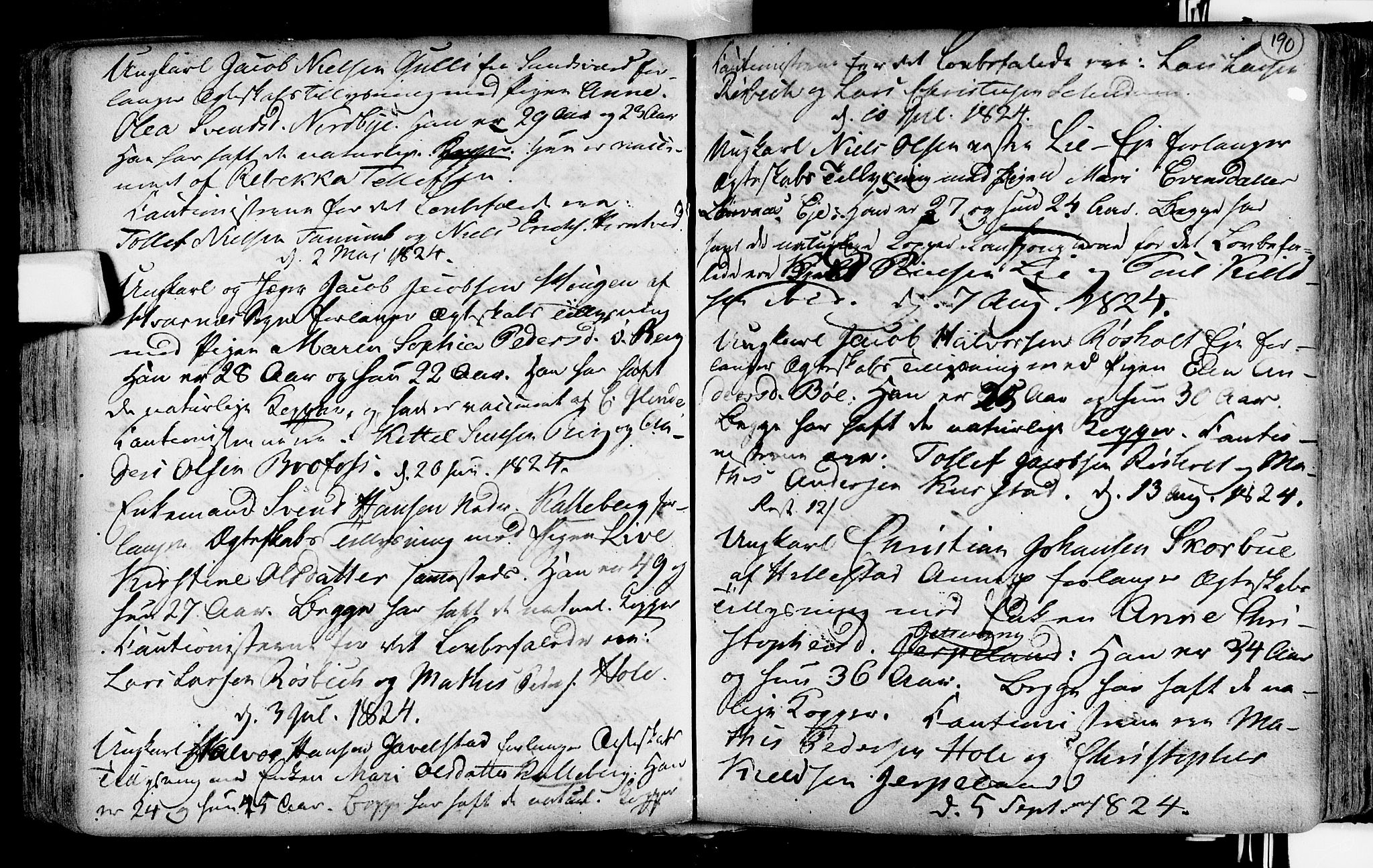 Lardal kirkebøker, SAKO/A-350/F/Fa/L0004: Parish register (official) no. i 4, 1733-1815, p. 190