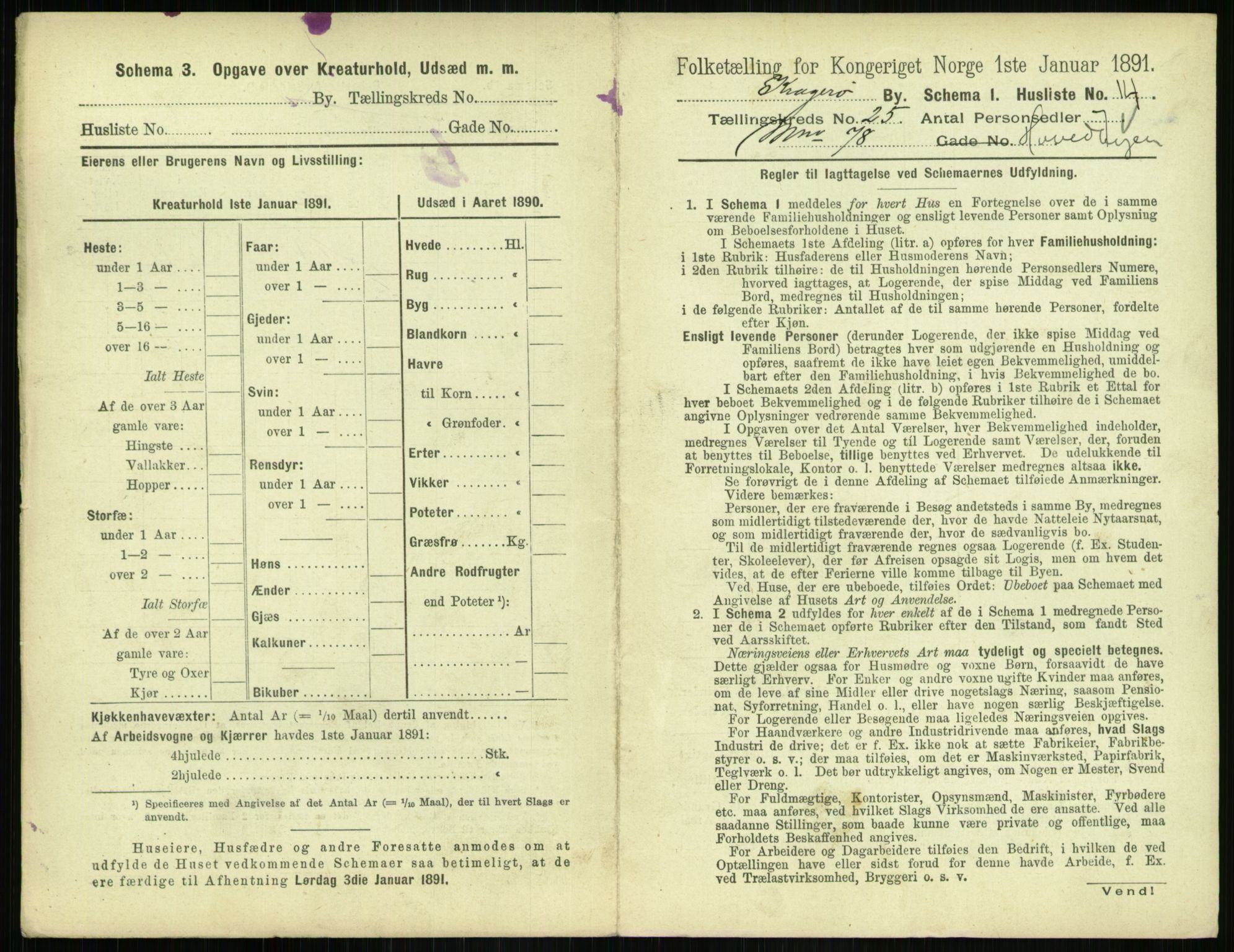 RA, 1891 census for 0801 Kragerø, 1891, p. 956