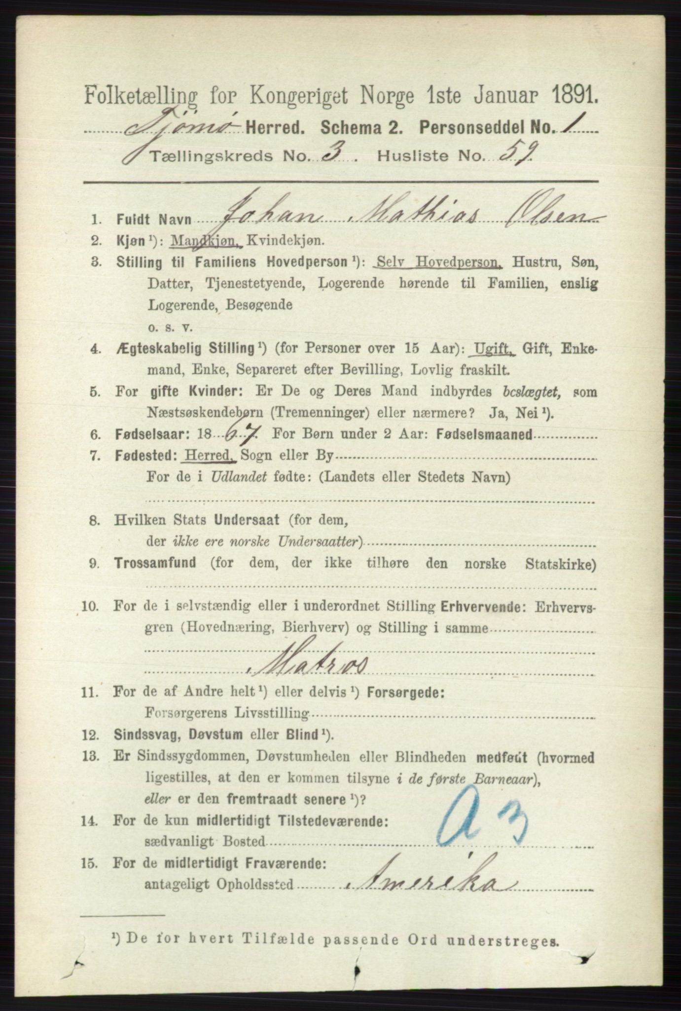 RA, 1891 census for 0723 Tjøme, 1891, p. 1204