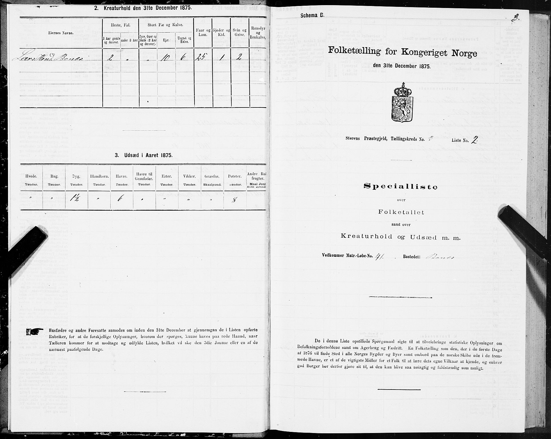 SAT, 1875 census for 1648P Støren, 1875, p. 2003