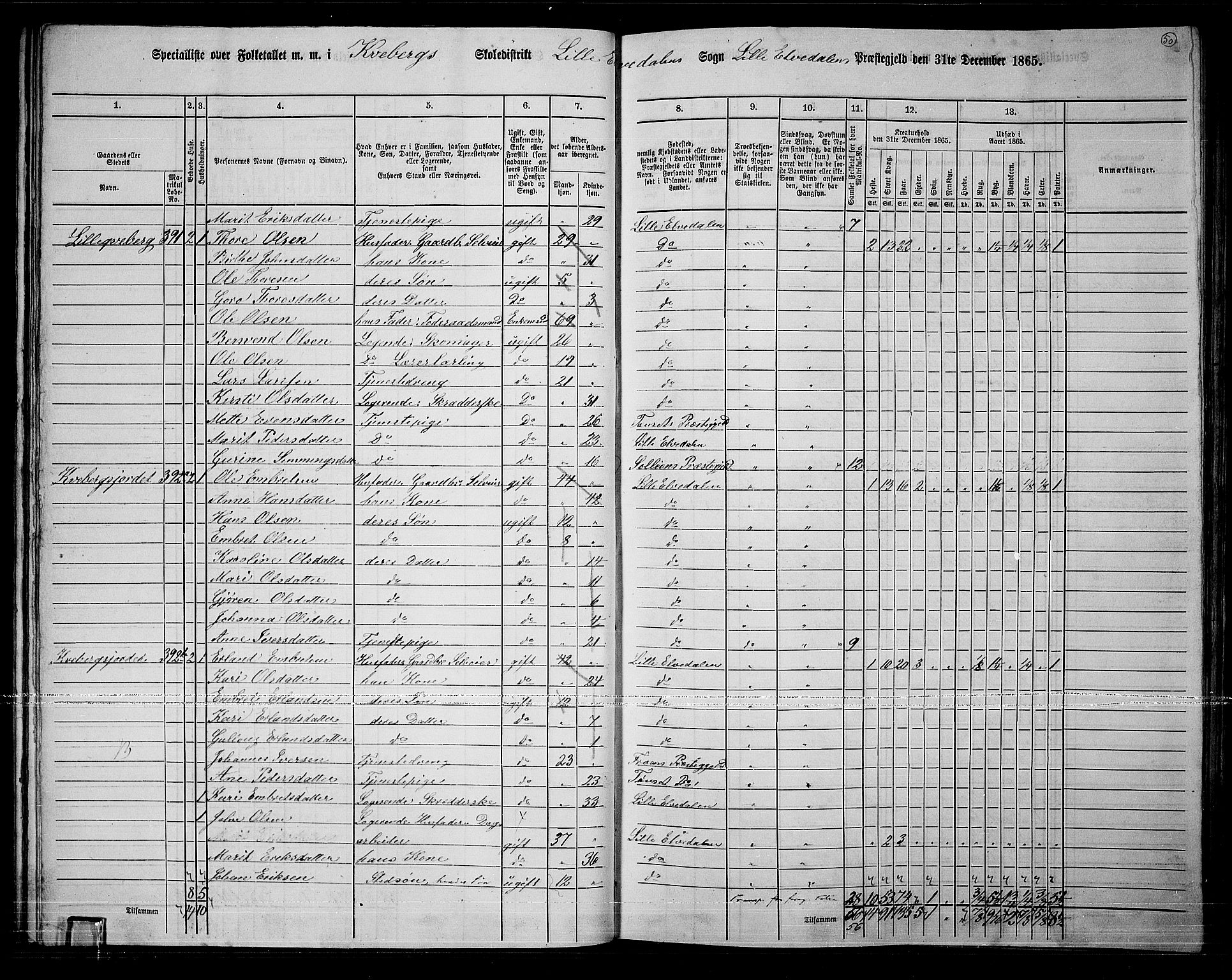 RA, 1865 census for Lille Elvedalen, 1865, p. 45