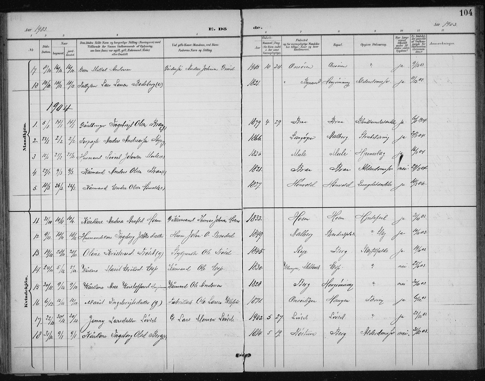 Ministerialprotokoller, klokkerbøker og fødselsregistre - Sør-Trøndelag, AV/SAT-A-1456/612/L0380: Parish register (official) no. 612A12, 1898-1907, p. 104