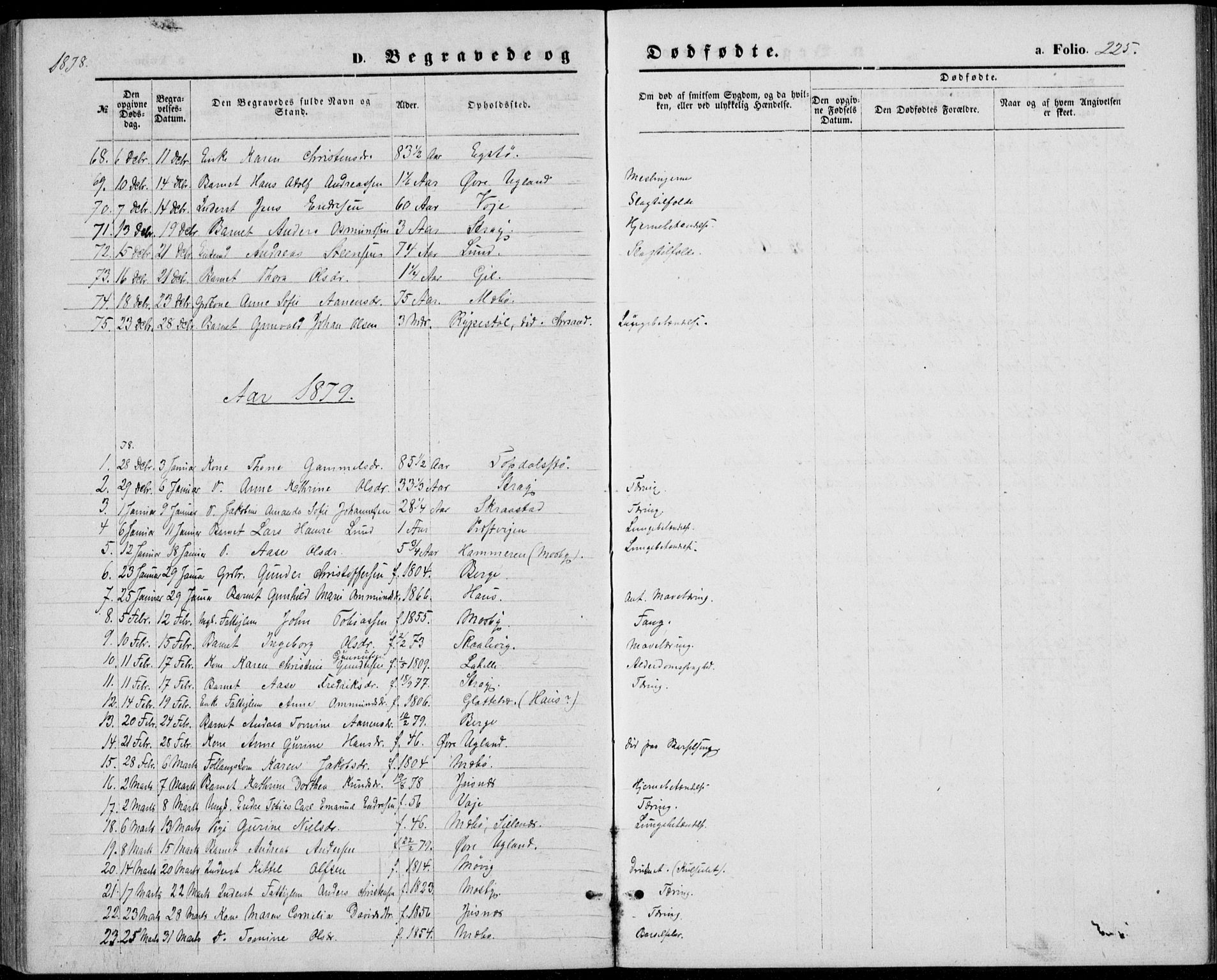 Oddernes sokneprestkontor, AV/SAK-1111-0033/F/Fb/Fba/L0007: Parish register (copy) no. B 7, 1869-1887, p. 225