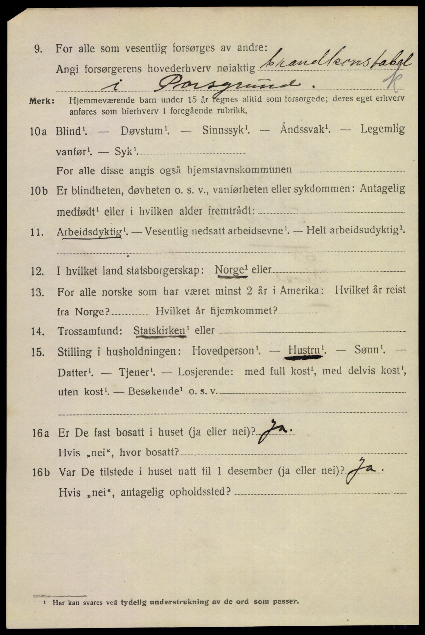SAKO, 1920 census for Porsgrunn, 1920, p. 17398
