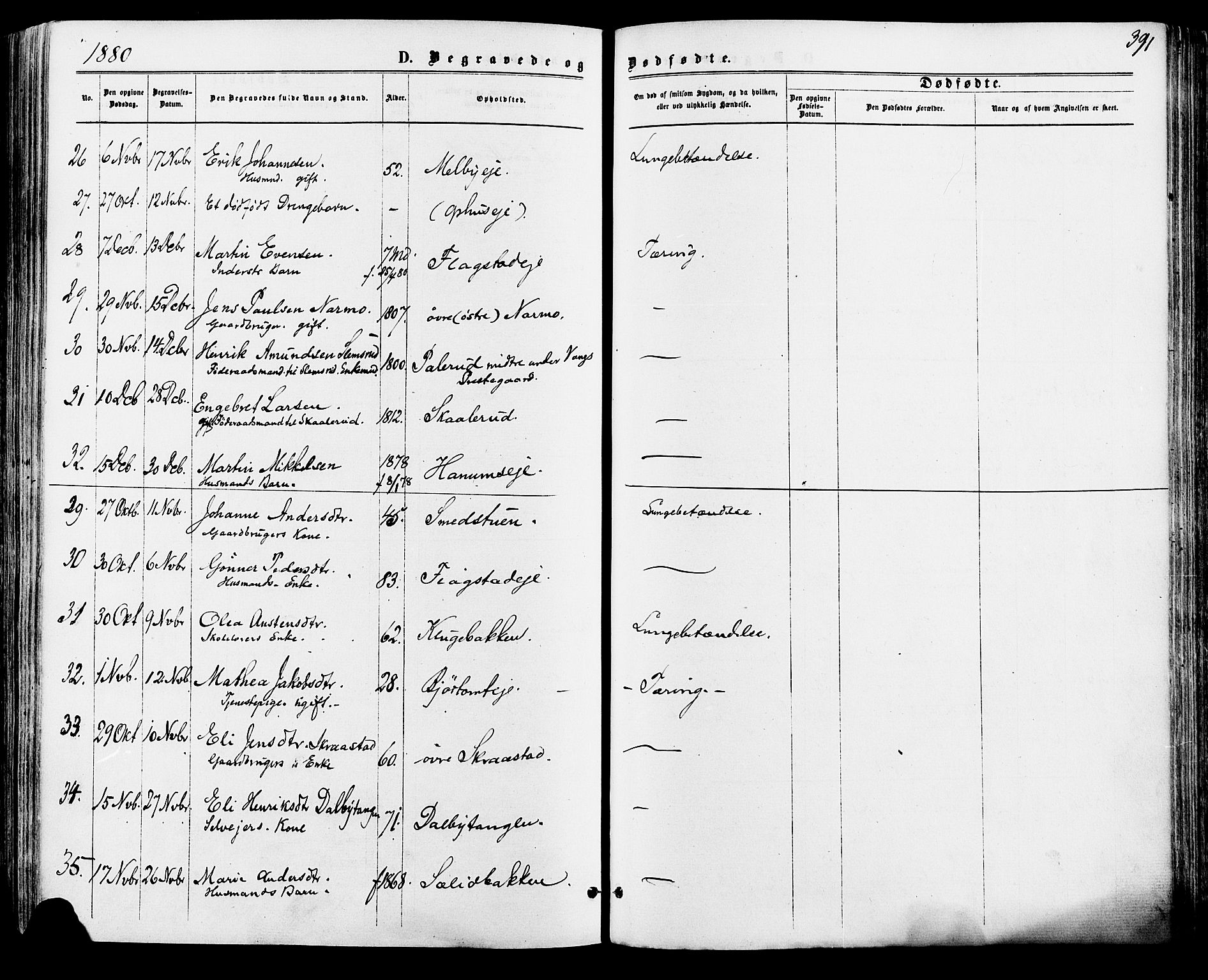 Vang prestekontor, Hedmark, SAH/PREST-008/H/Ha/Haa/L0015: Parish register (official) no. 15, 1871-1885, p. 391