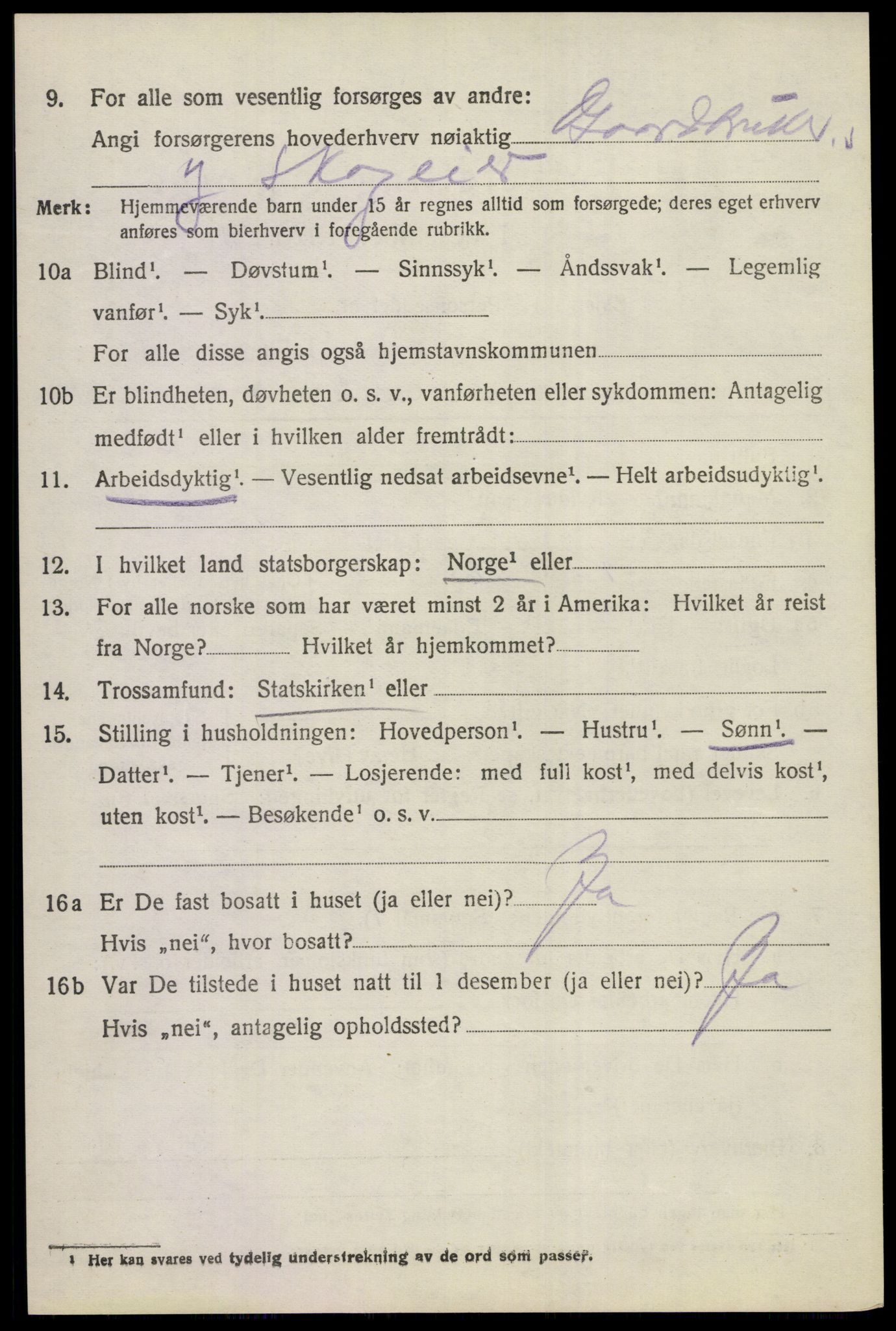 SAKO, 1920 census for Norderhov, 1920, p. 22501