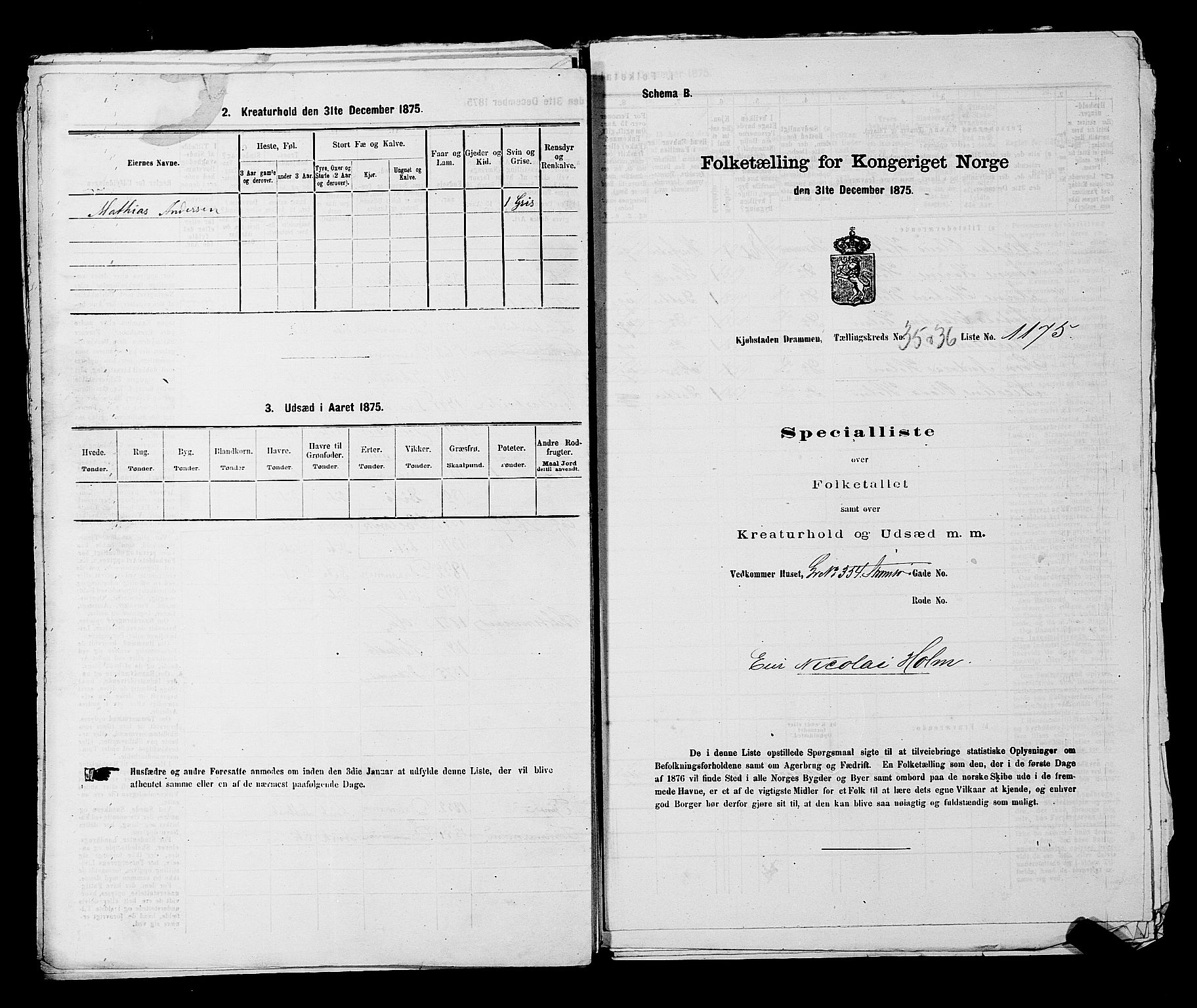 SAKO, 1875 census for 0602 Drammen, 1875, p. 3105
