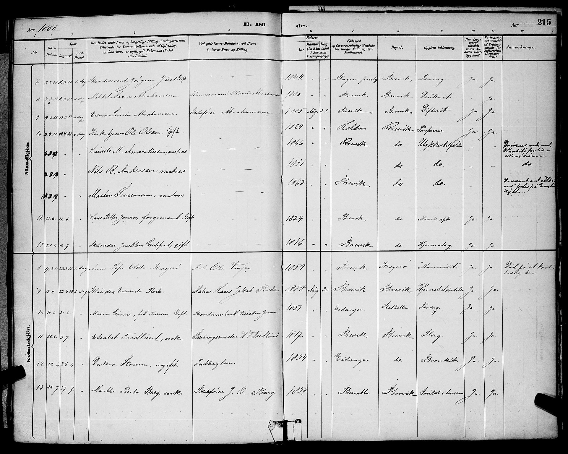 Brevik kirkebøker, AV/SAKO-A-255/G/Ga/L0004: Parish register (copy) no. 4, 1882-1900, p. 215