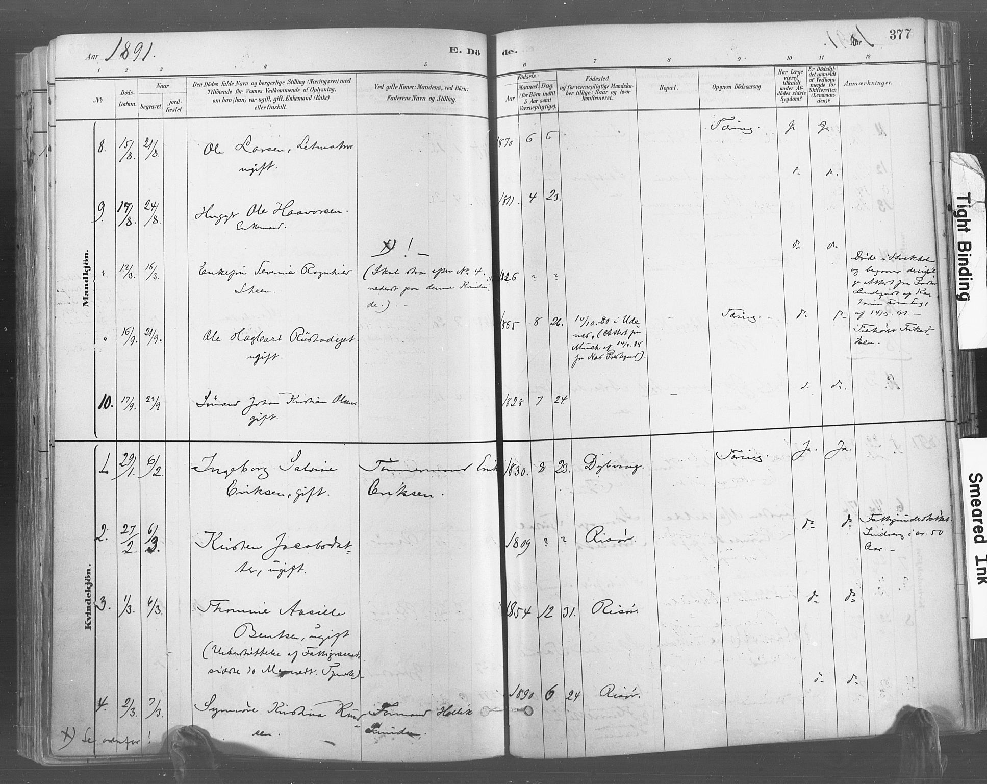 Risør sokneprestkontor, AV/SAK-1111-0035/F/Fa/L0005: Parish register (official) no. A 5, 1883-1895, p. 377