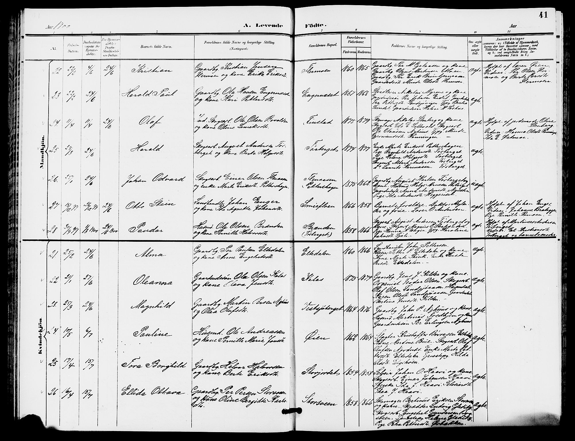 Trysil prestekontor, AV/SAH-PREST-046/H/Ha/Hab/L0006: Parish register (copy) no. 6, 1896-1912, p. 41