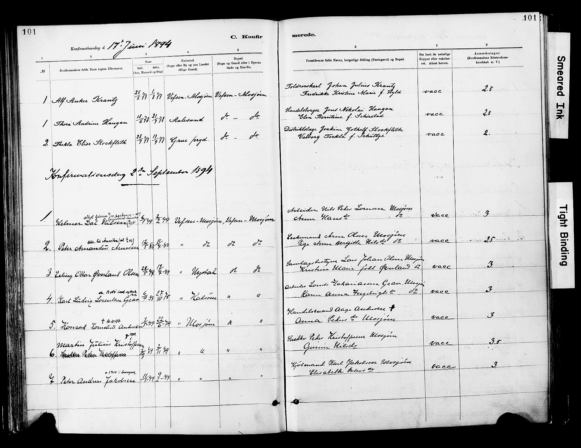 Ministerialprotokoller, klokkerbøker og fødselsregistre - Nordland, SAT/A-1459/820/L0296: Parish register (official) no. 820A17, 1880-1903, p. 101