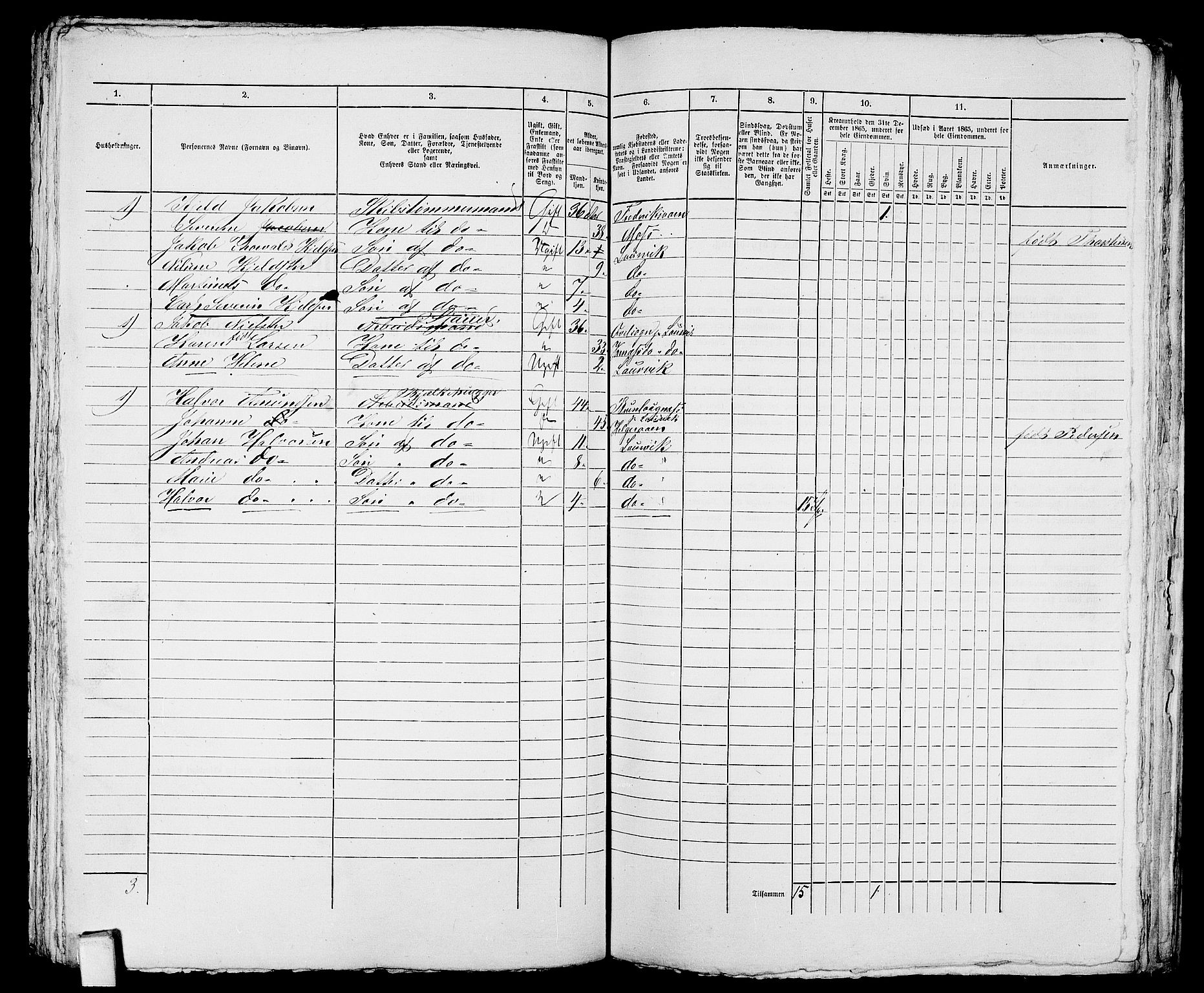 RA, 1865 census for Larvik, 1865, p. 843