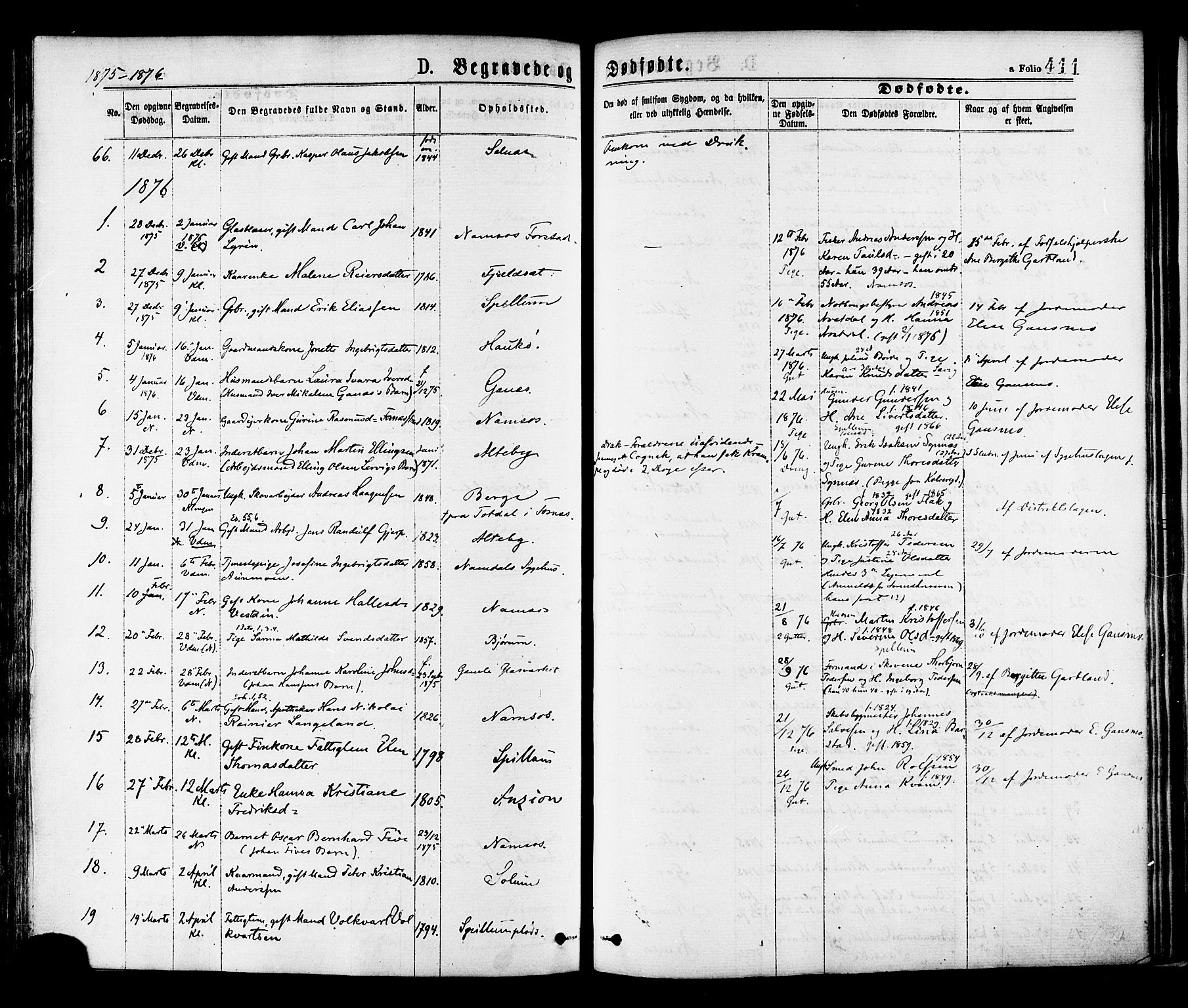 Ministerialprotokoller, klokkerbøker og fødselsregistre - Nord-Trøndelag, SAT/A-1458/768/L0572: Parish register (official) no. 768A07, 1874-1886, p. 411