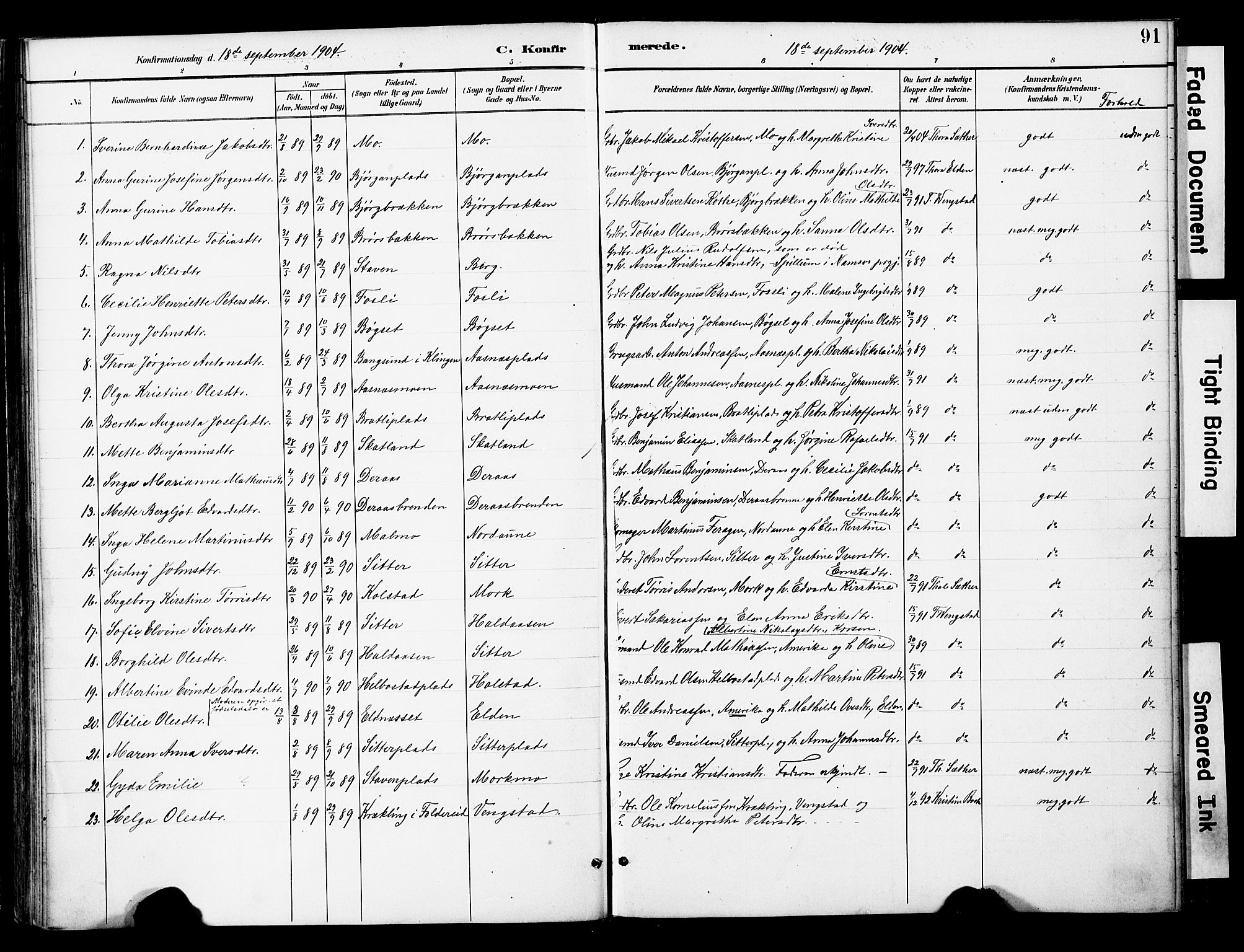 Ministerialprotokoller, klokkerbøker og fødselsregistre - Nord-Trøndelag, SAT/A-1458/742/L0409: Parish register (official) no. 742A02, 1891-1905, p. 91