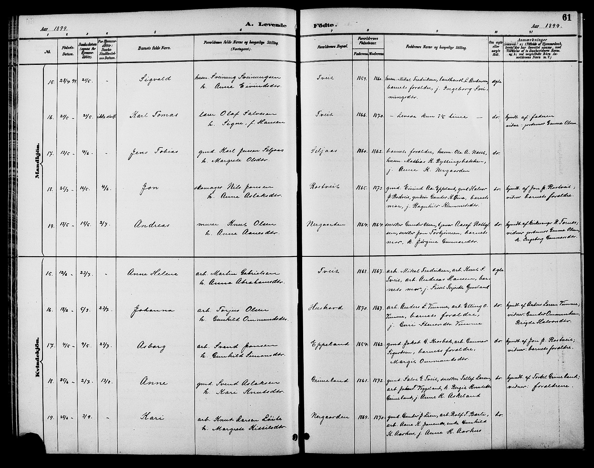Åmli sokneprestkontor, SAK/1111-0050/F/Fb/Fbc/L0004: Parish register (copy) no. B 4, 1889-1902, p. 61