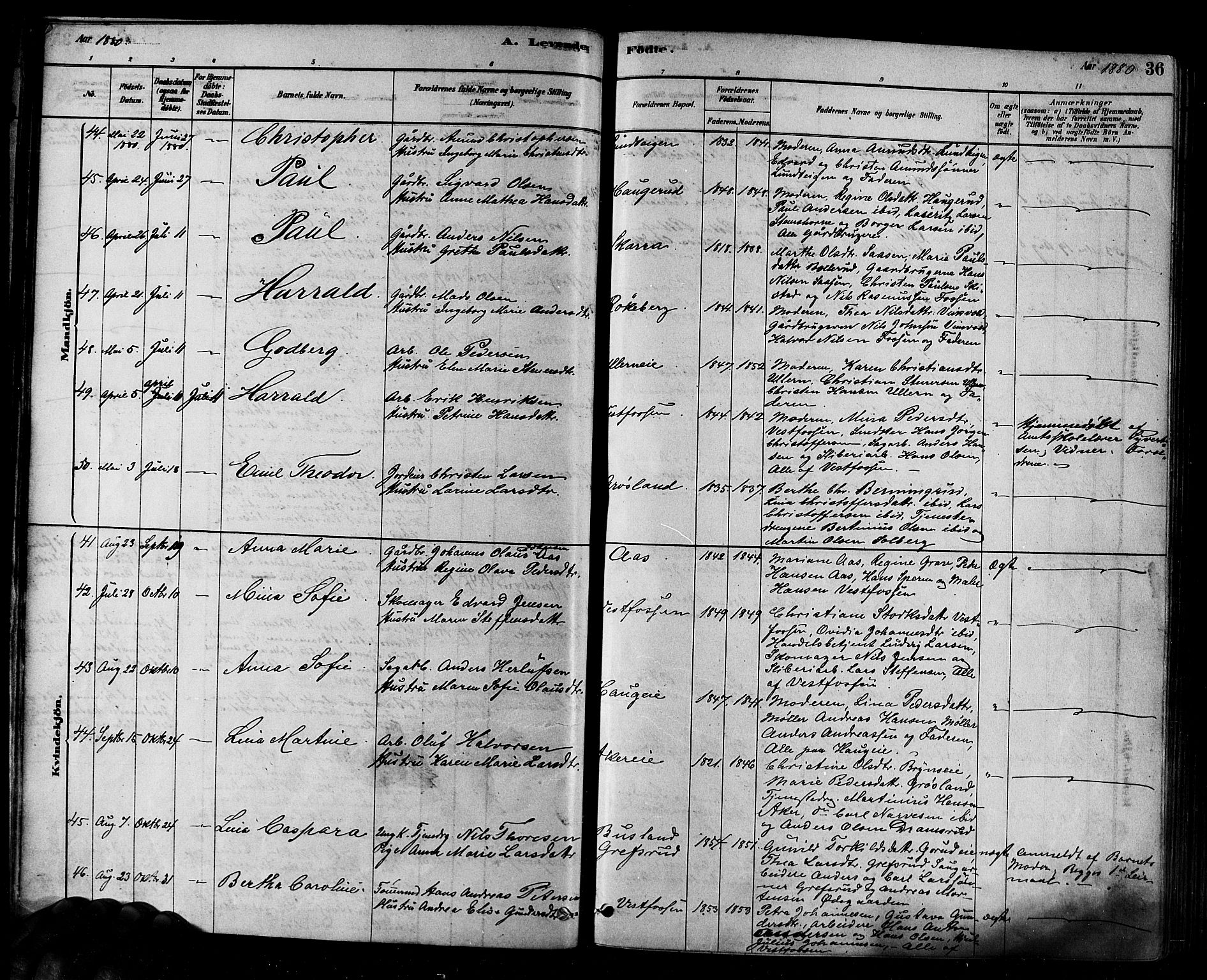 Eiker kirkebøker, SAKO/A-4/F/Fb/L0001: Parish register (official) no. II 1, 1878-1888, p. 36