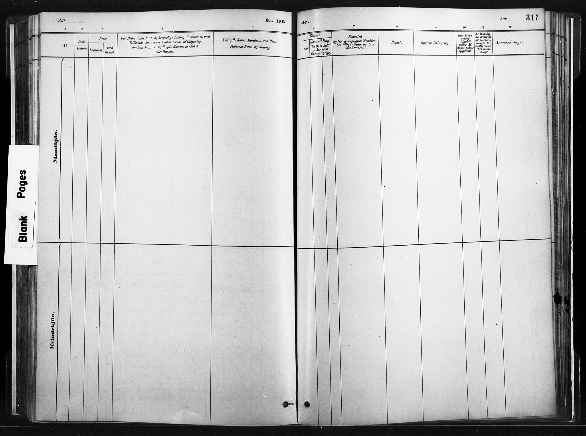 Vinger prestekontor, AV/SAH-PREST-024/H/Ha/Haa/L0014: Parish register (official) no. 14, 1881-1900, p. 317