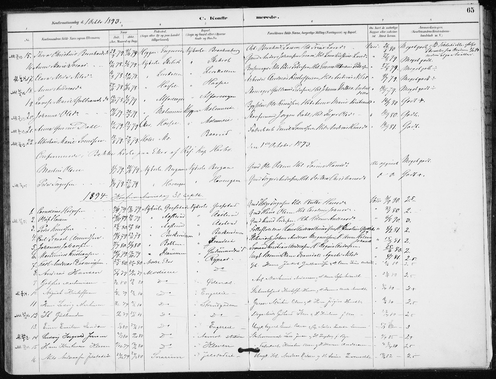 Modum kirkebøker, AV/SAKO-A-234/F/Fa/L0016: Parish register (official) no. 16, 1890-1899, p. 65