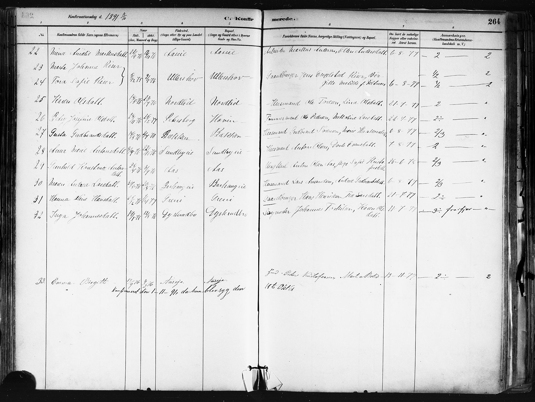 Nes prestekontor Kirkebøker, AV/SAO-A-10410/F/Fa/L0010: Parish register (official) no. I 10, 1883-1898, p. 264