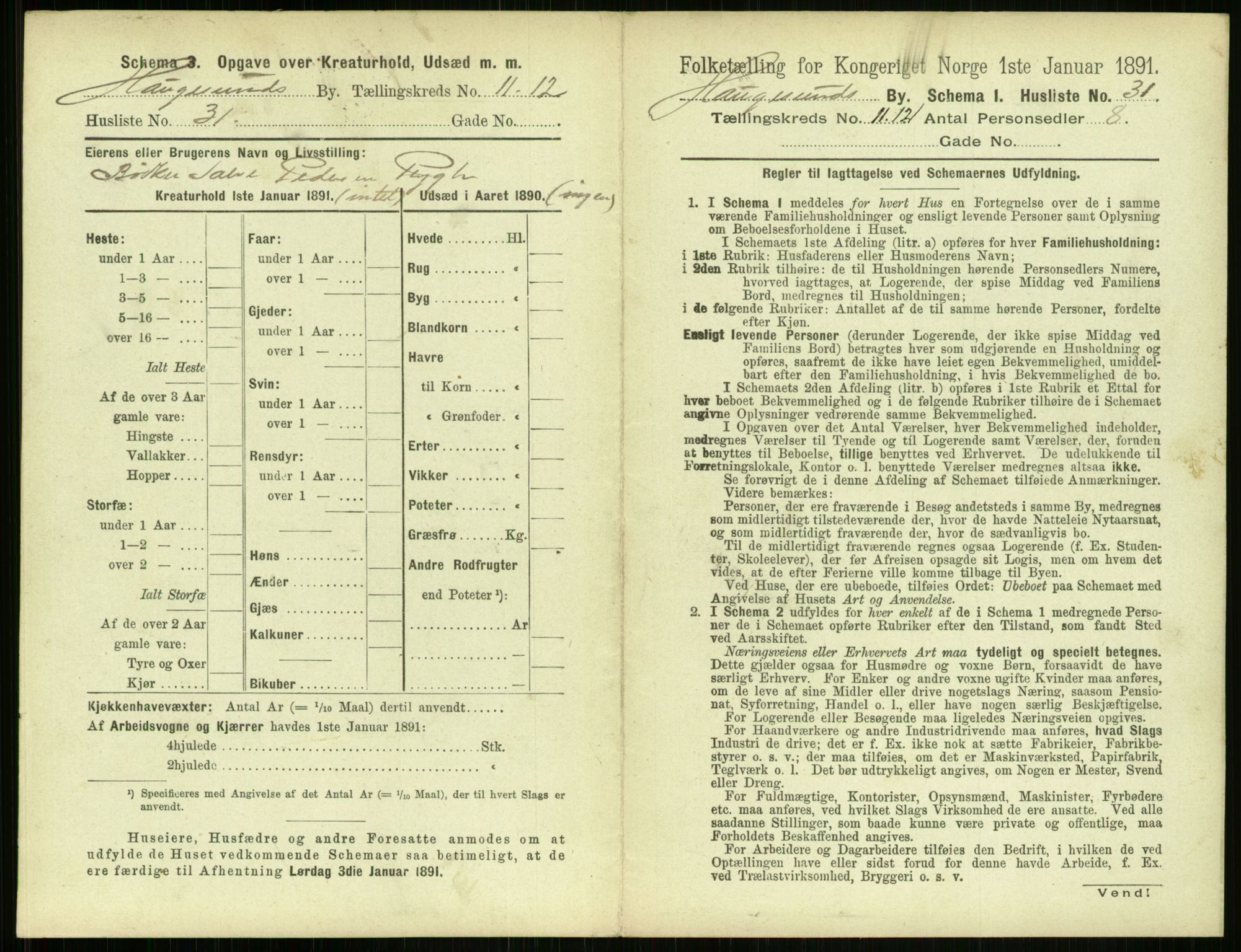 RA, 1891 census for 1106 Haugesund, 1891, p. 826