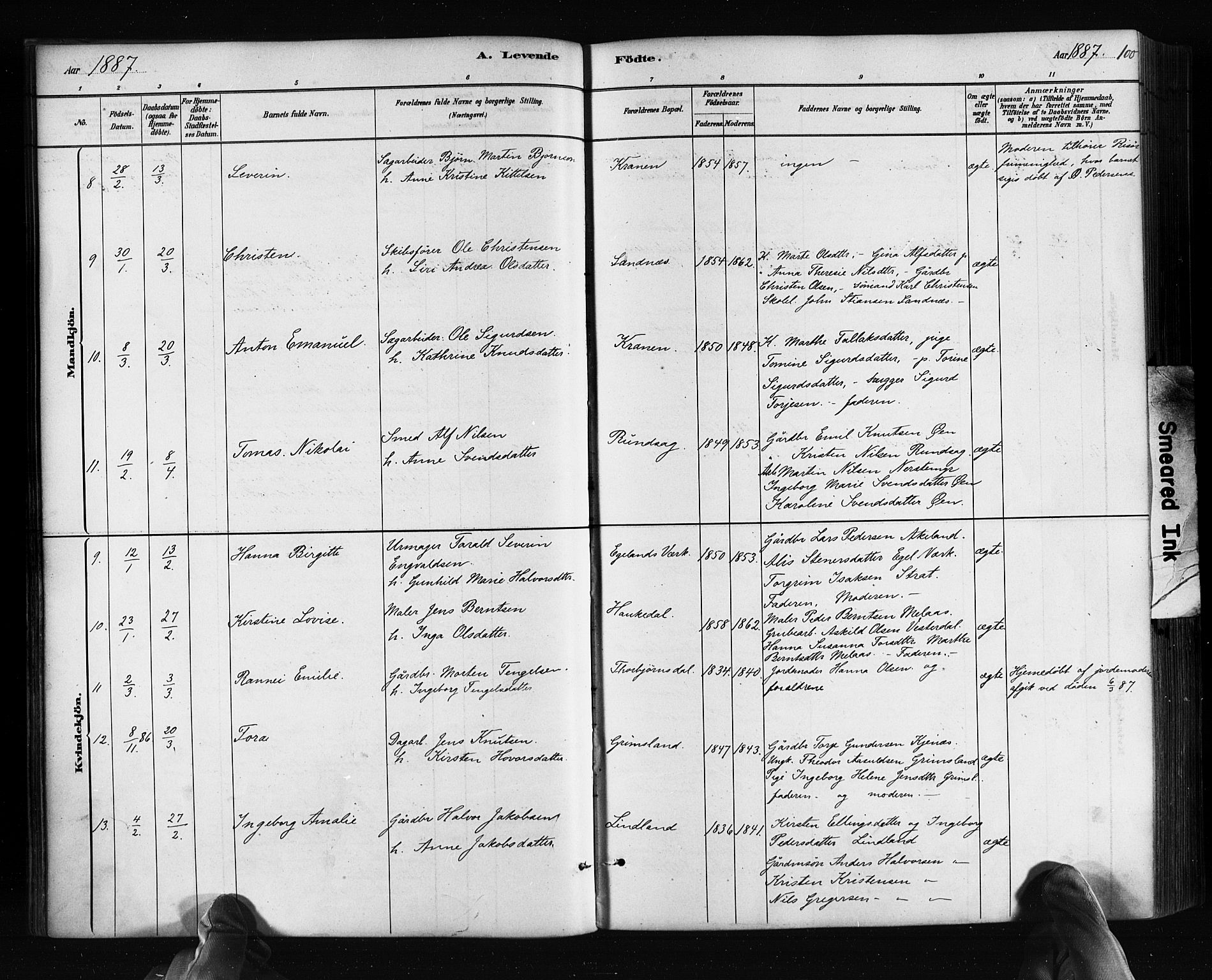 Søndeled sokneprestkontor, AV/SAK-1111-0038/F/Fa/L0004: Parish register (official) no. A 4, 1880-1889, p. 100