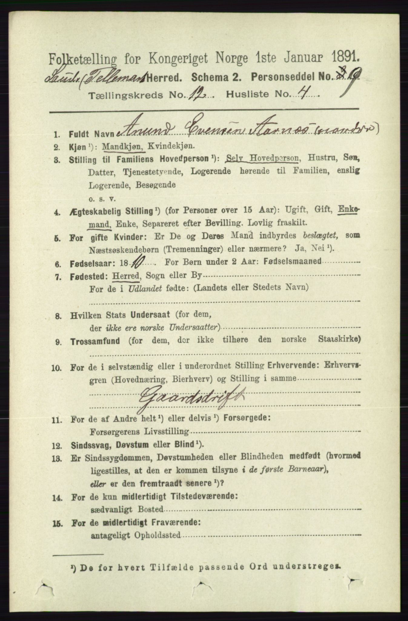 RA, 1891 census for 0822 Sauherad, 1891, p. 3646