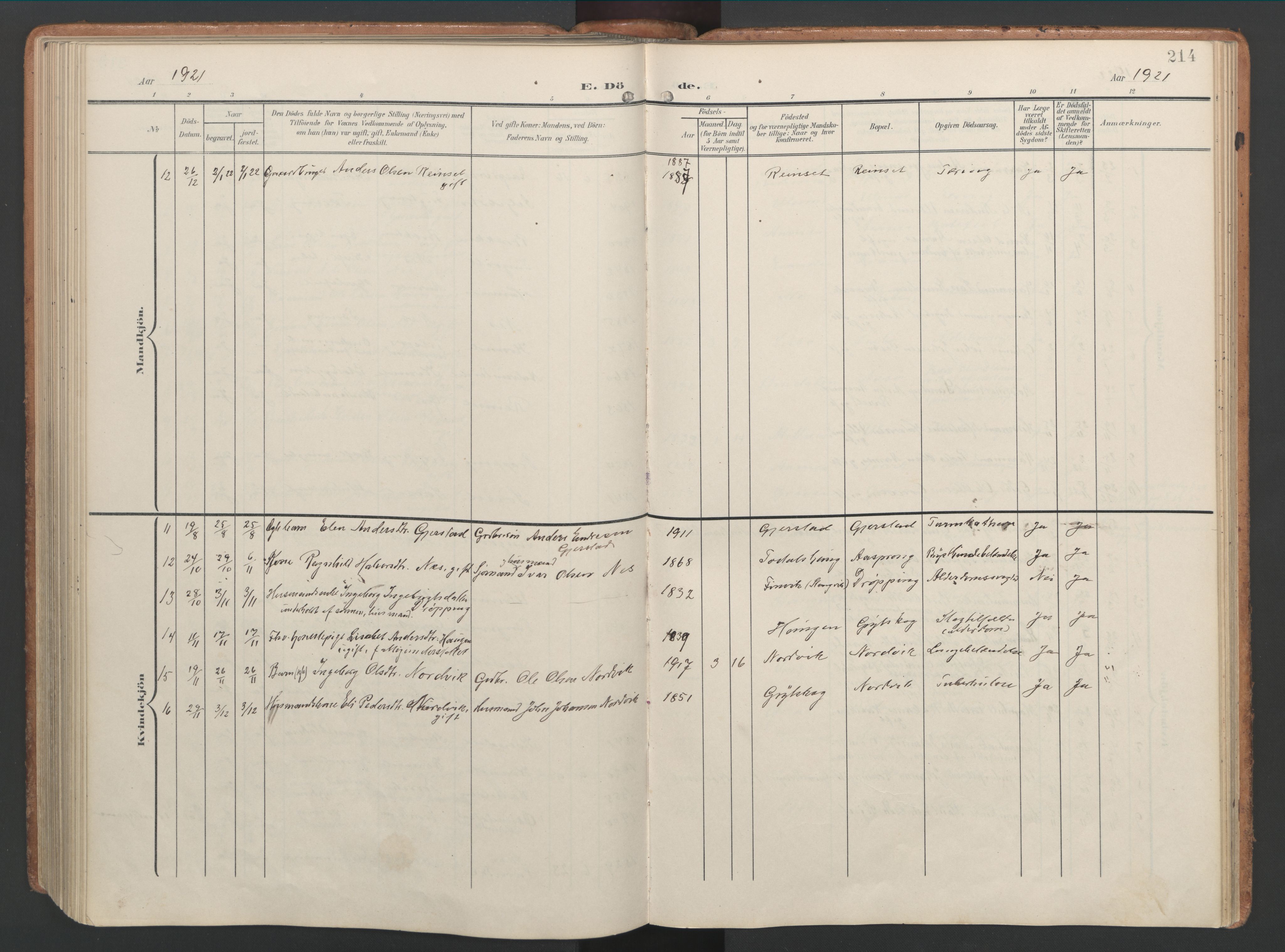 Ministerialprotokoller, klokkerbøker og fødselsregistre - Møre og Romsdal, AV/SAT-A-1454/592/L1030: Parish register (official) no. 592A08, 1901-1925, p. 214