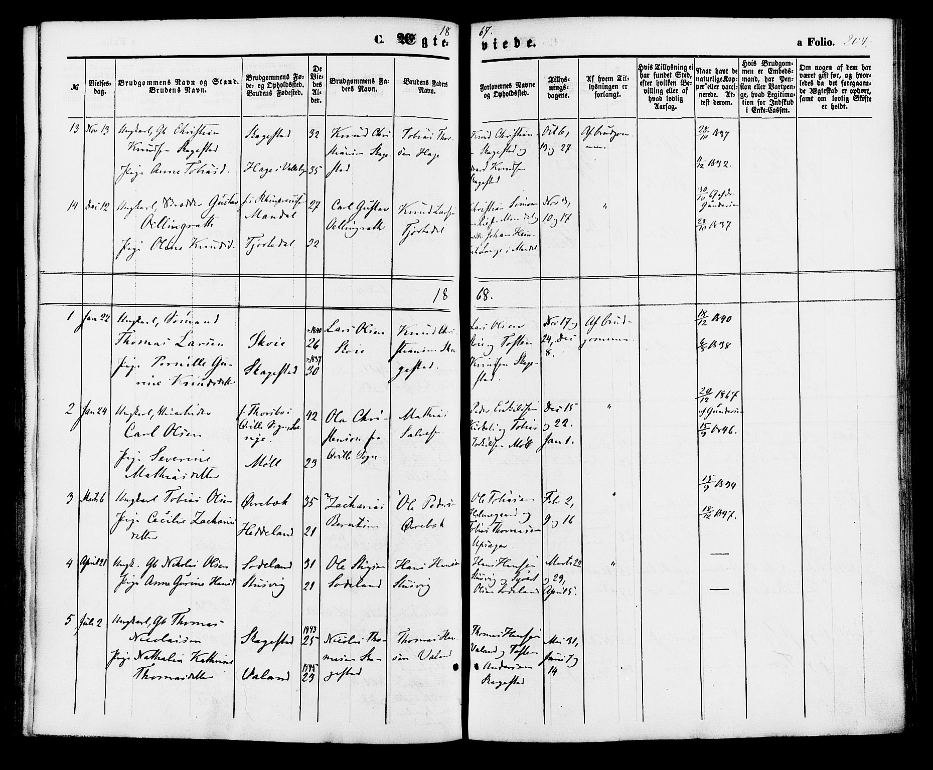 Holum sokneprestkontor, AV/SAK-1111-0022/F/Fa/Faa/L0006: Parish register (official) no. A 6, 1865-1883, p. 205